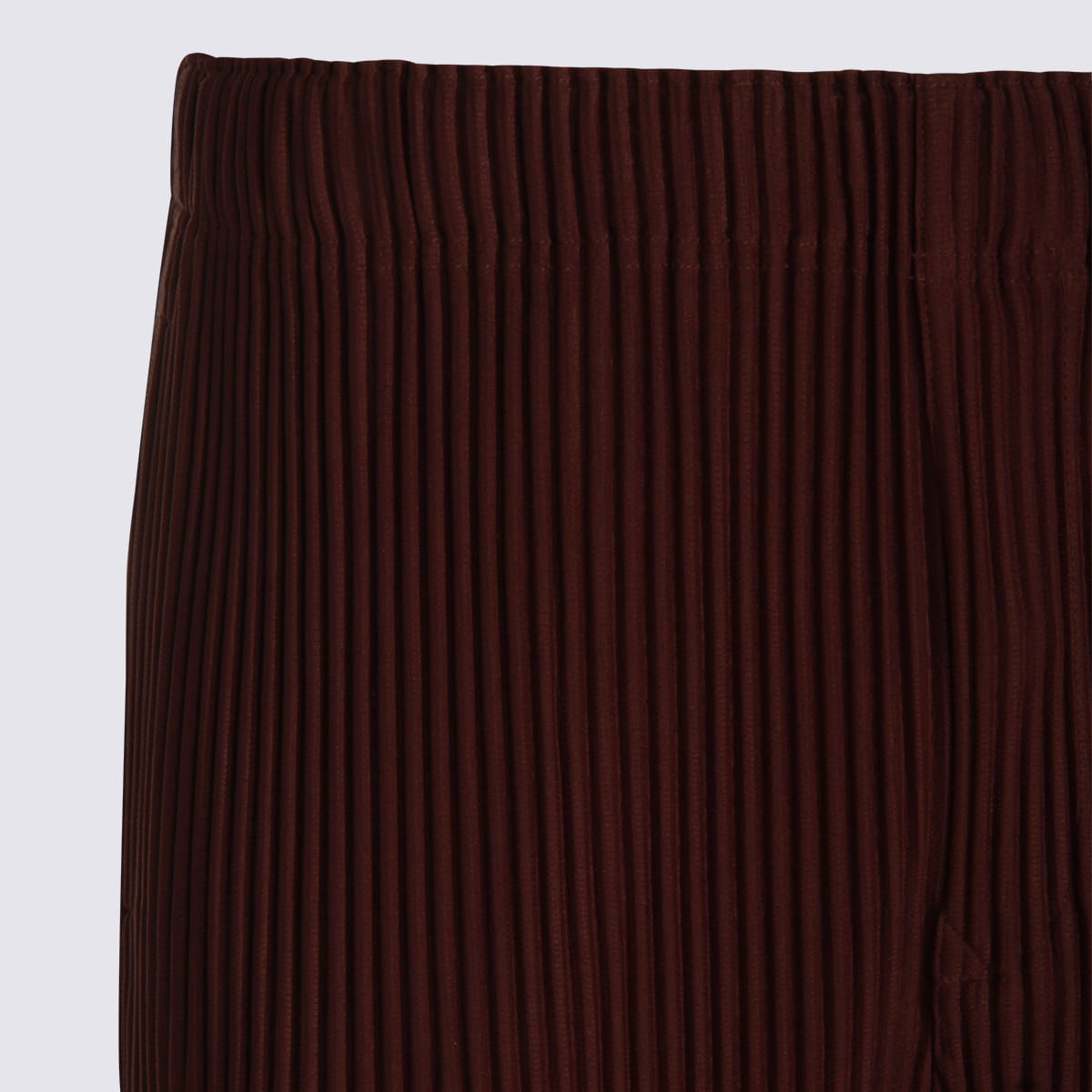 Issey Miyake Tailored Pleats 2 Pants In Brown