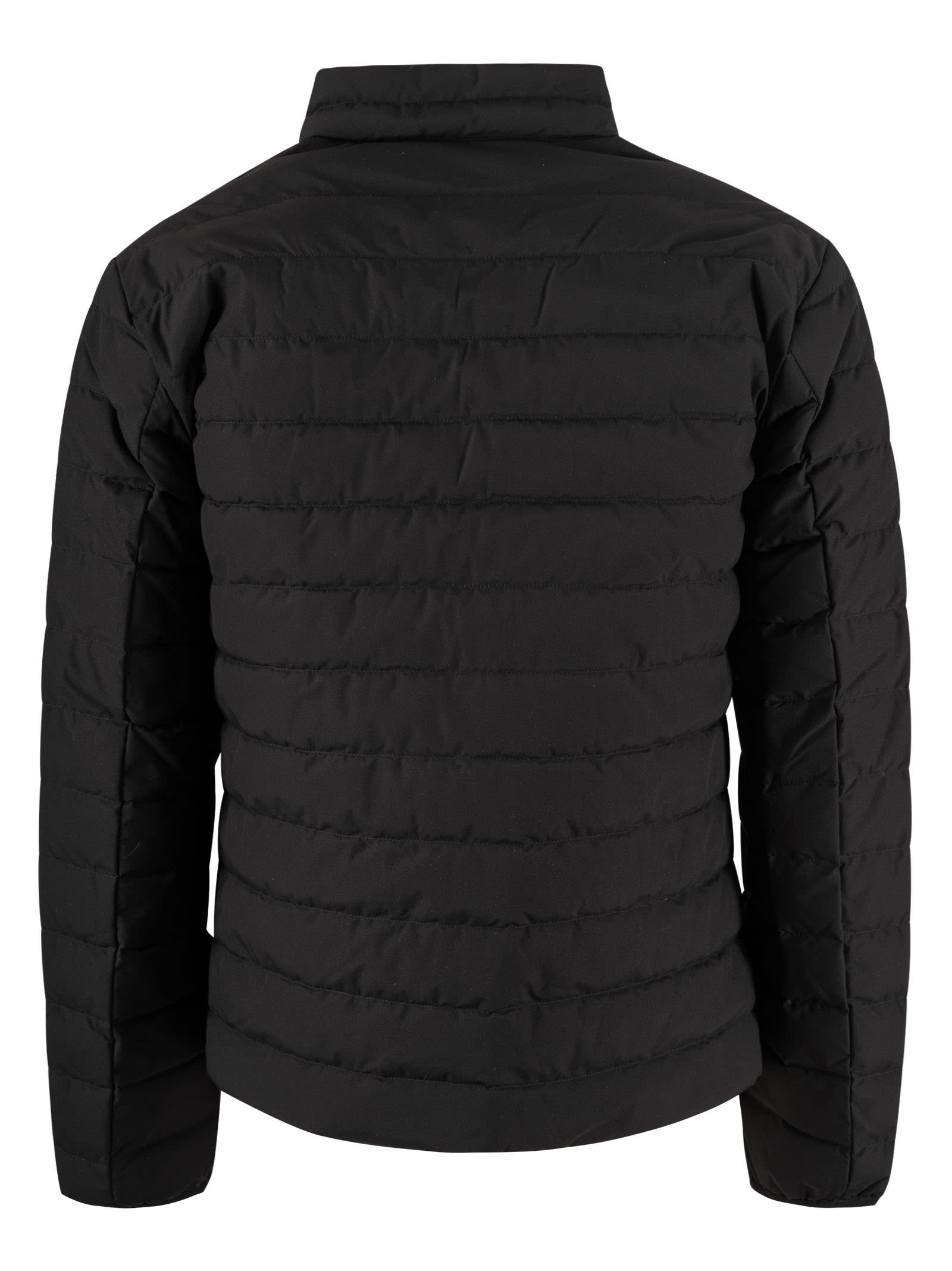 Shop Emporio Armani Zip Padded Jacket In Black