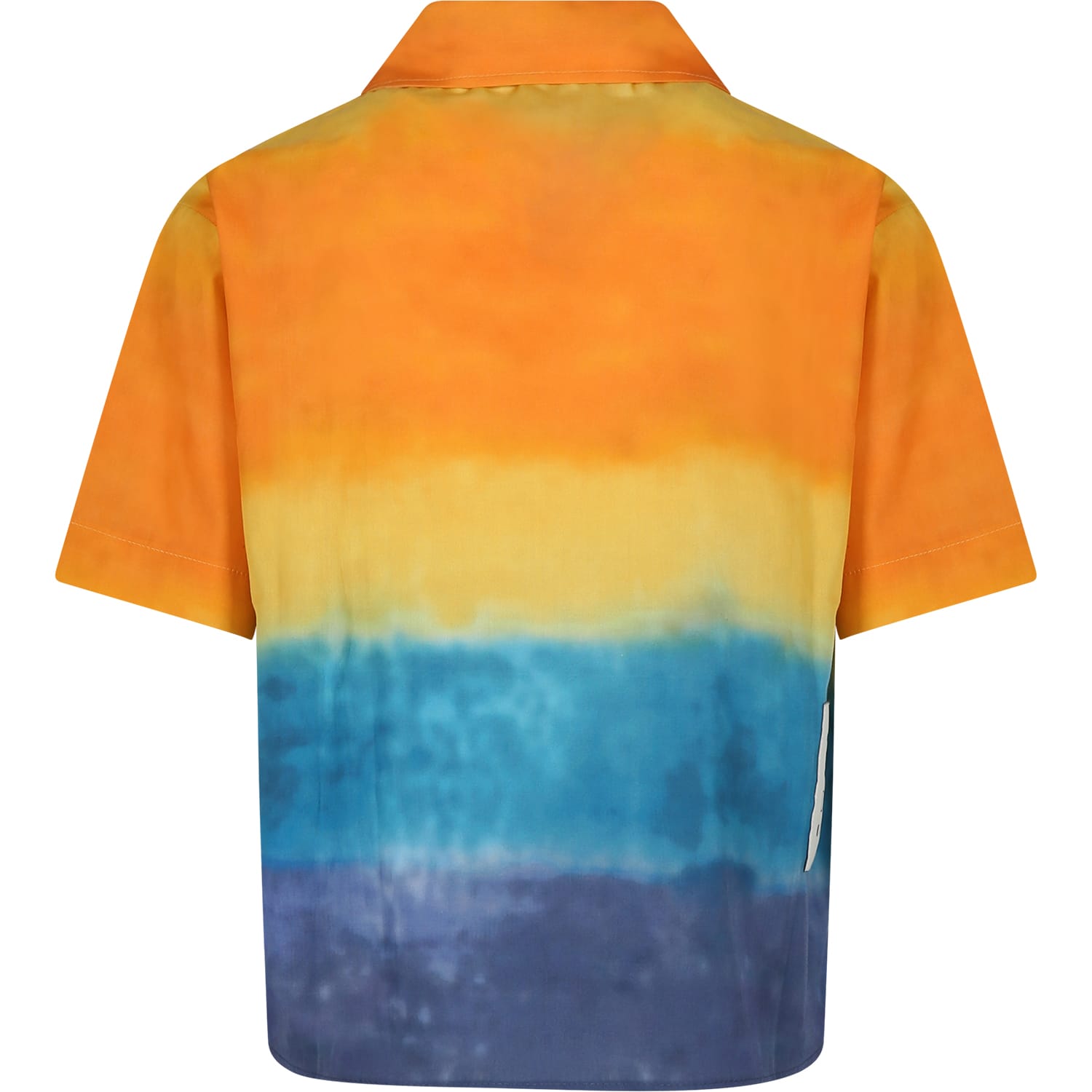 Shop Msgm Orange Shirt For Boy With Palm Tree Print