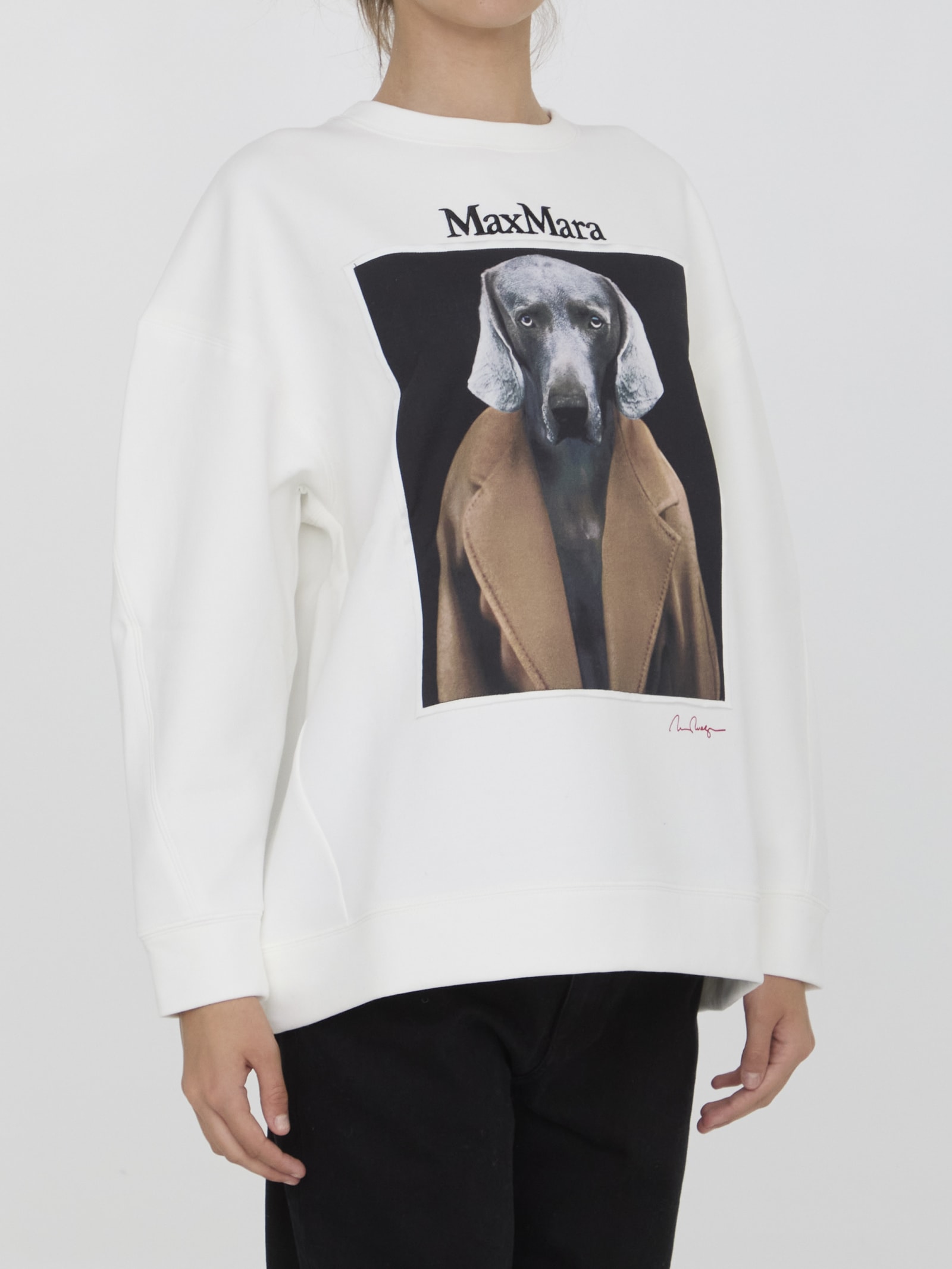 Shop Max Mara Bacco Sweatshirt In Ivory