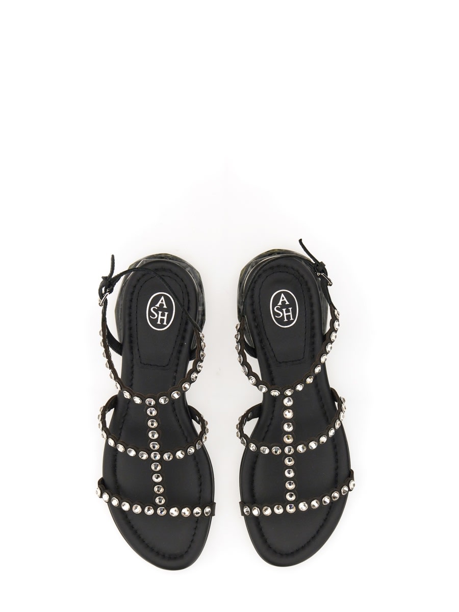Shop Ash Leather Sandal In Black