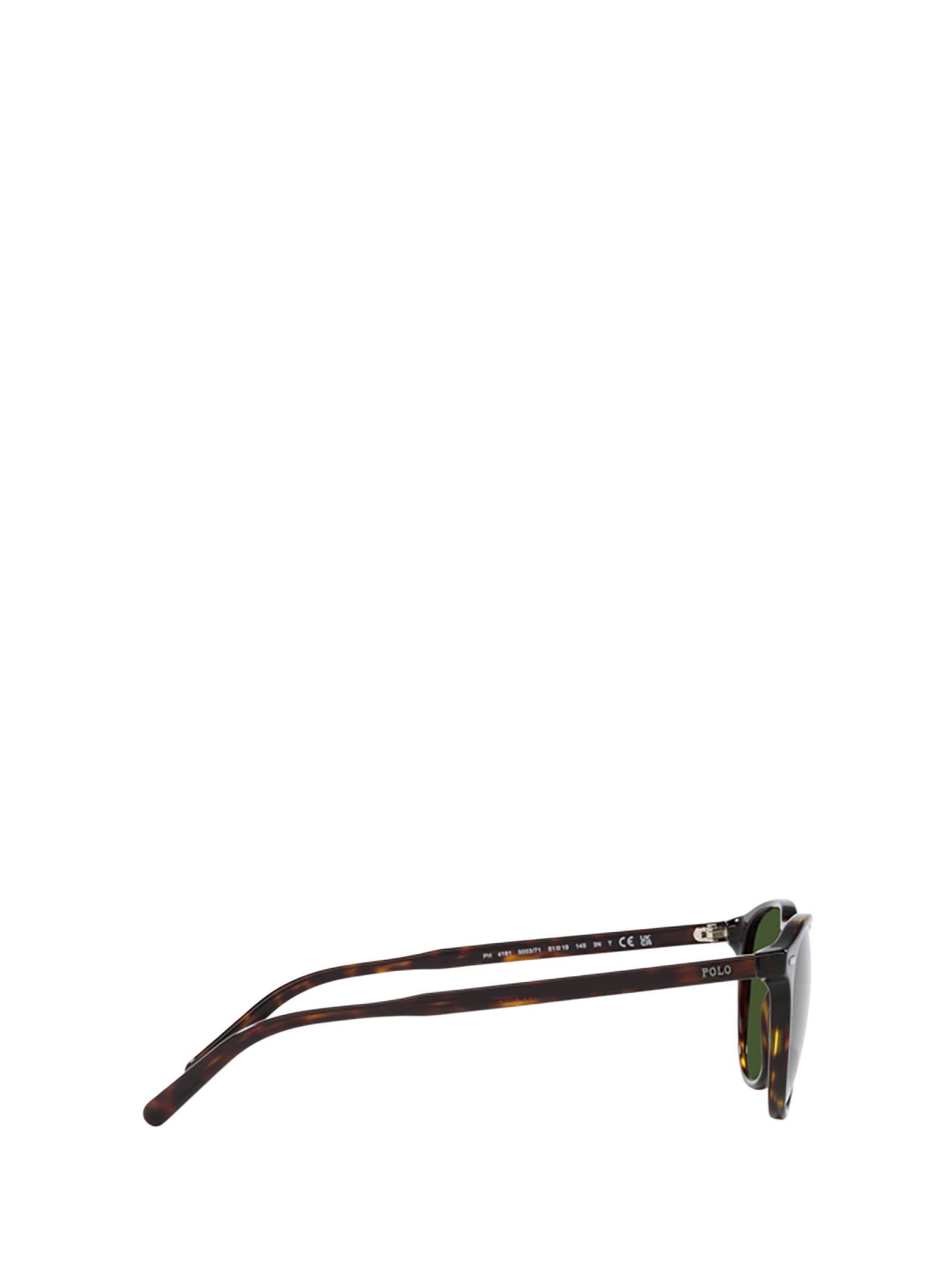 Shop Polo Ralph Lauren Ph4181 Shiny Dark Havana Sunglasses