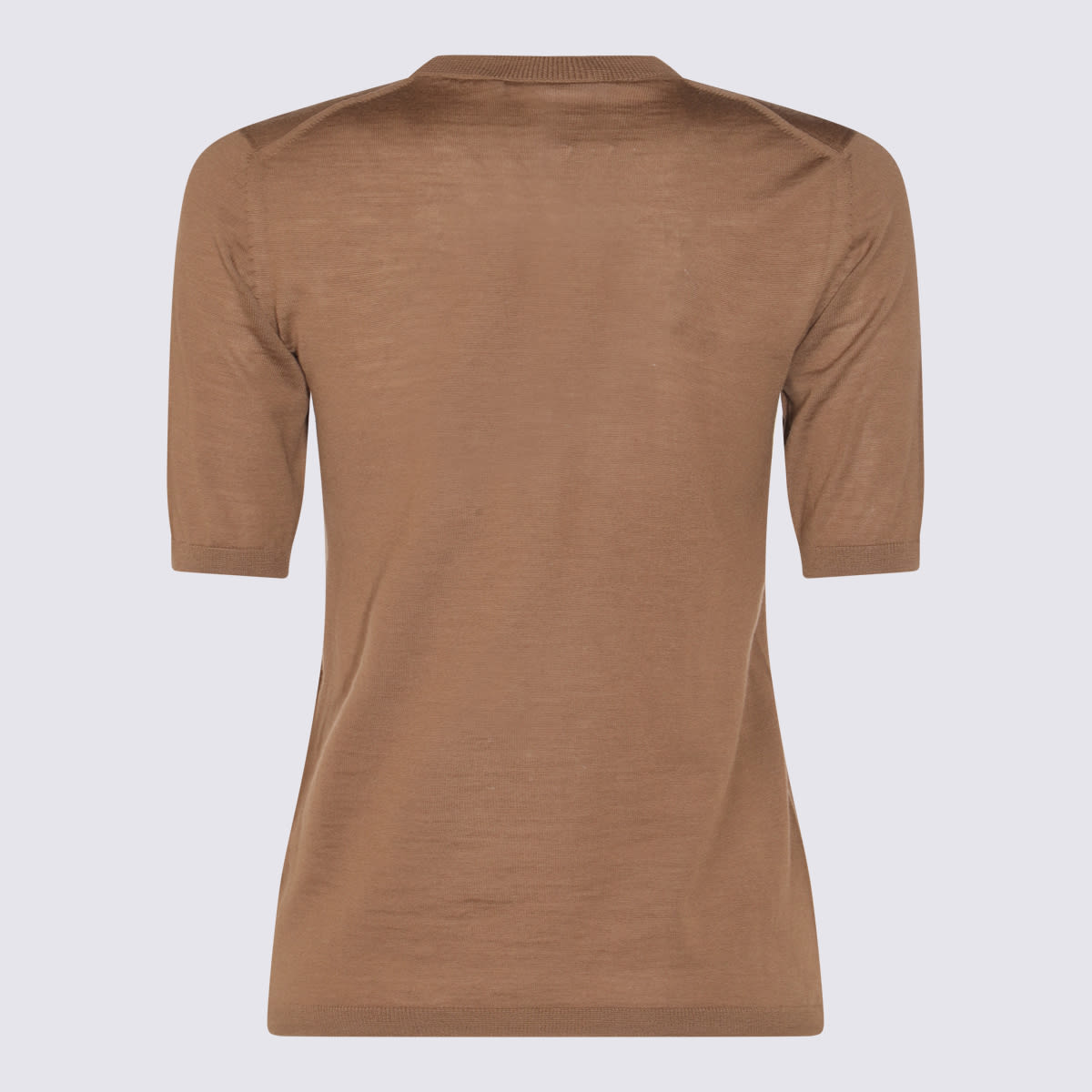 Max Mara Gerico Ss Knit T-shirt In Brown