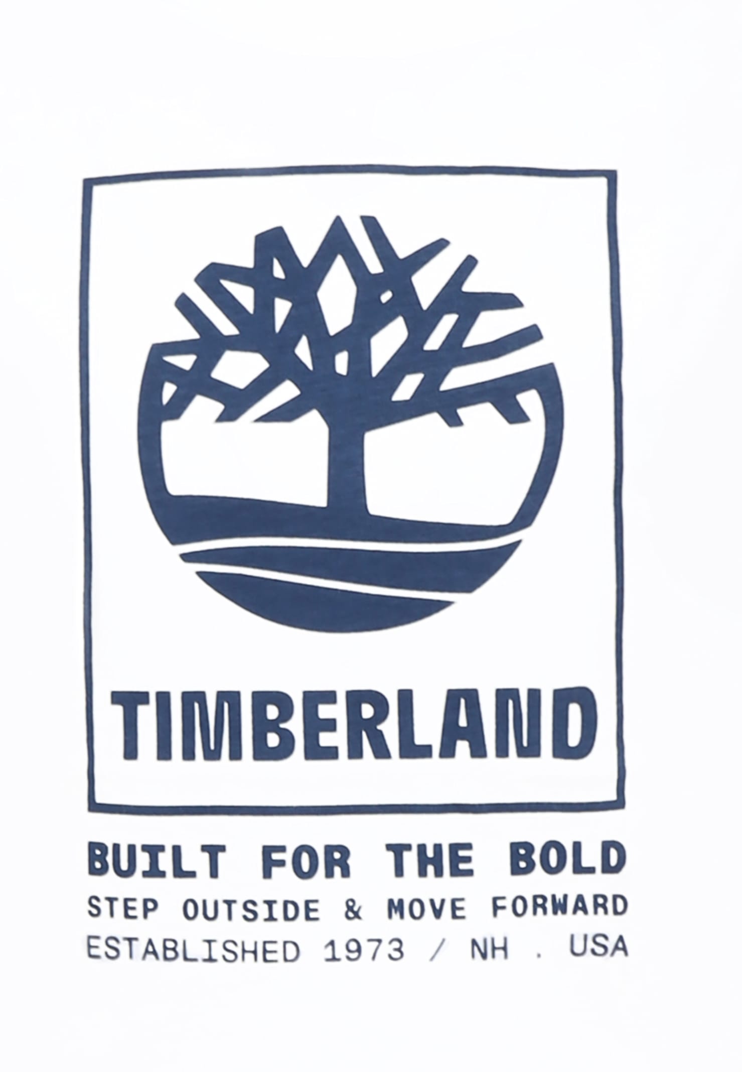 Timberland White T-shirt For Boy With Logo In White