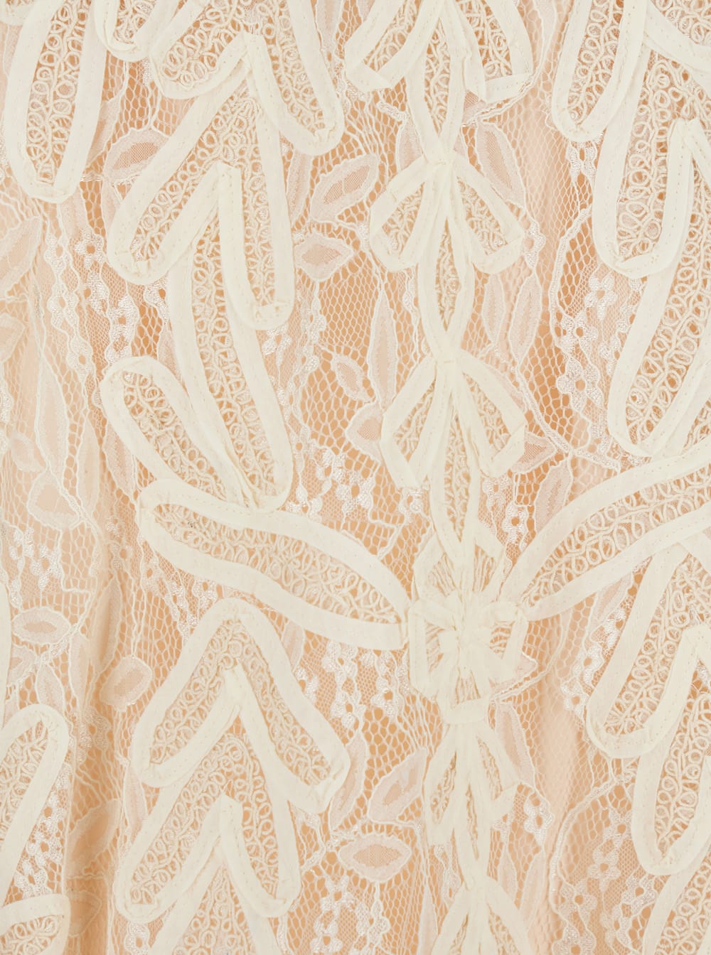 P.a.r.o.s.h Beige Long Skirt With All-over Lace Embroidery In Tech Fabric Woman In Beige