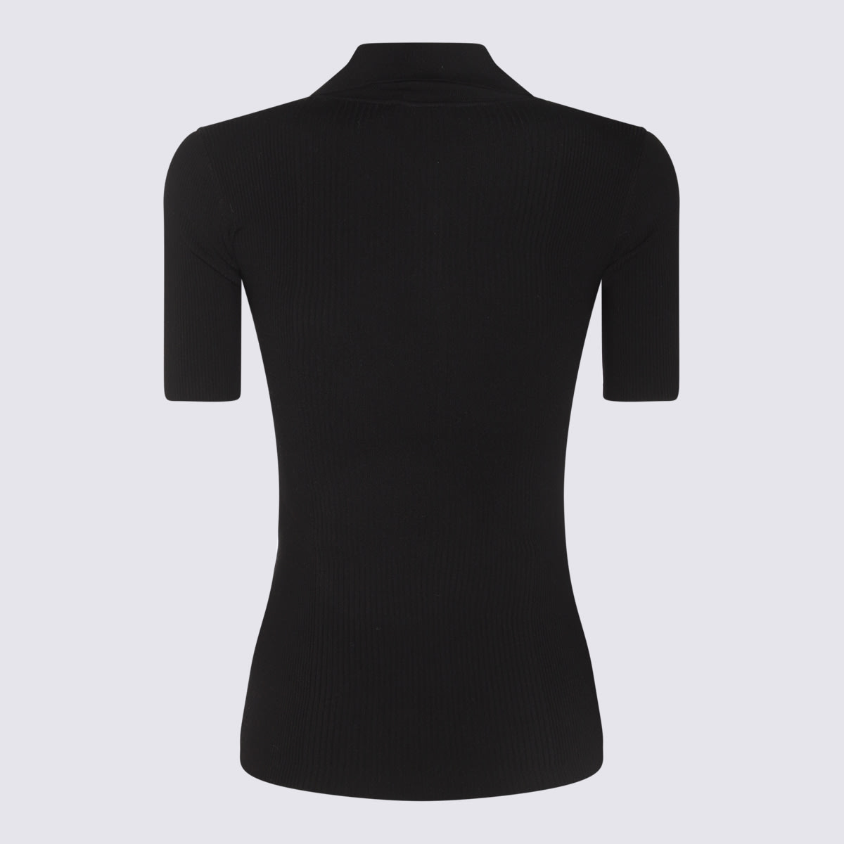 Elisabetta Franchi T-shirts And Polos In Black