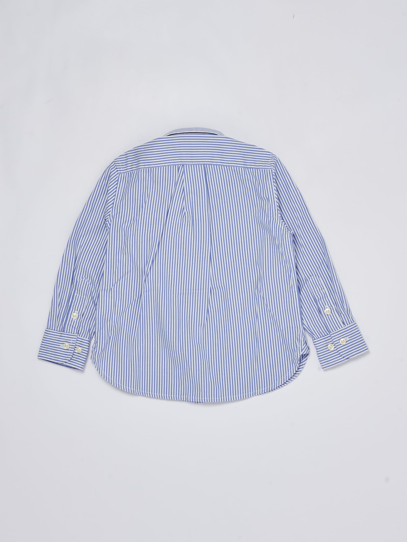 Shop Polo Ralph Lauren Shirt Shirt In Riga Bianco-blu