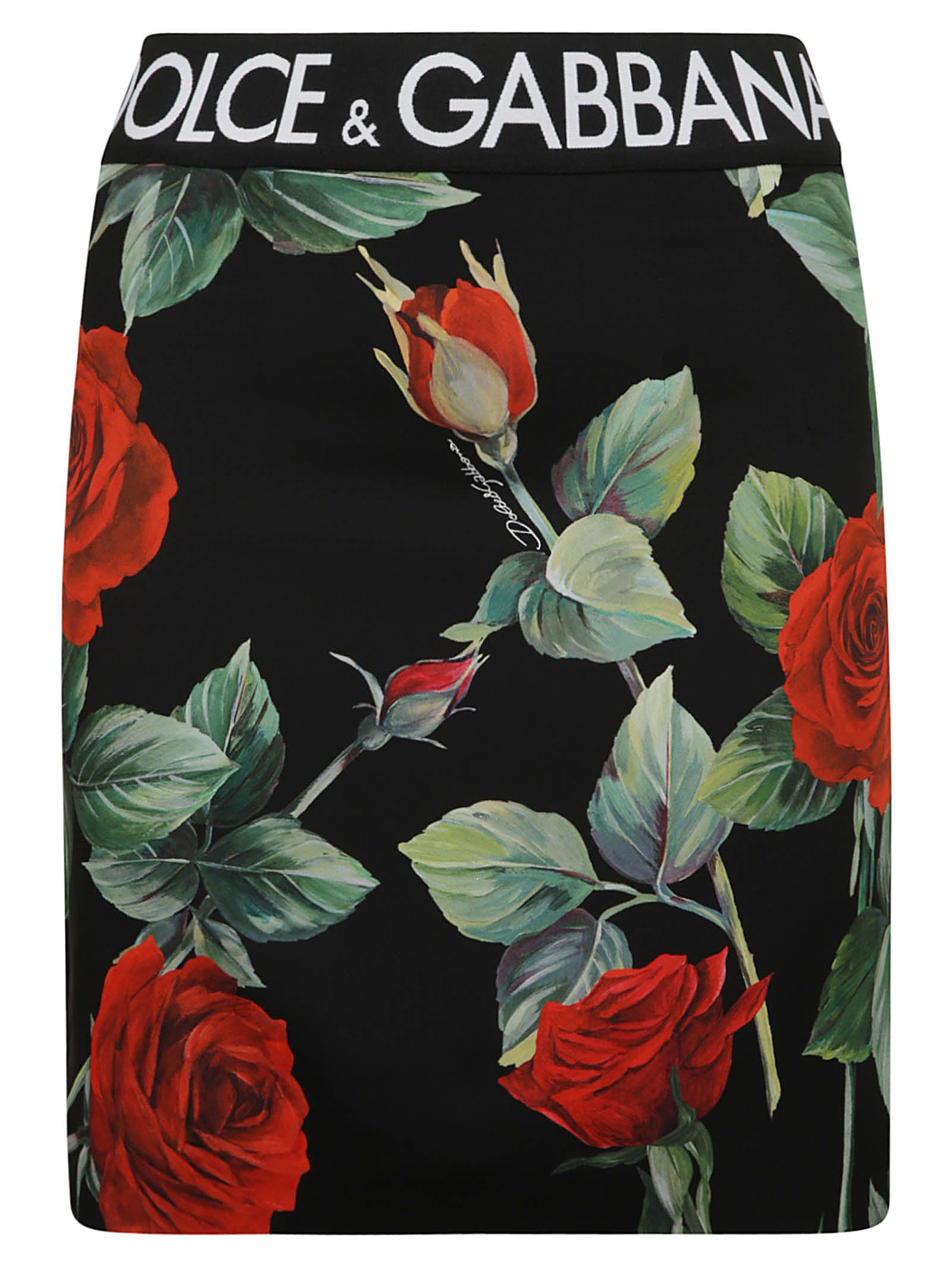 Dolce & Gabbana Logo Waist Rose Printed Skirt