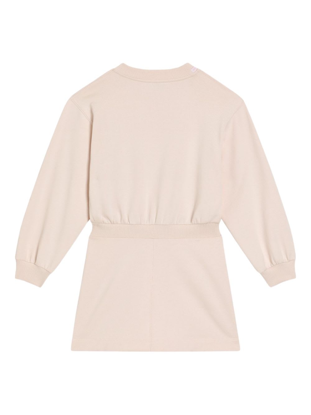 Dolce & Gabbana Kids Dress With Decoration In Pink