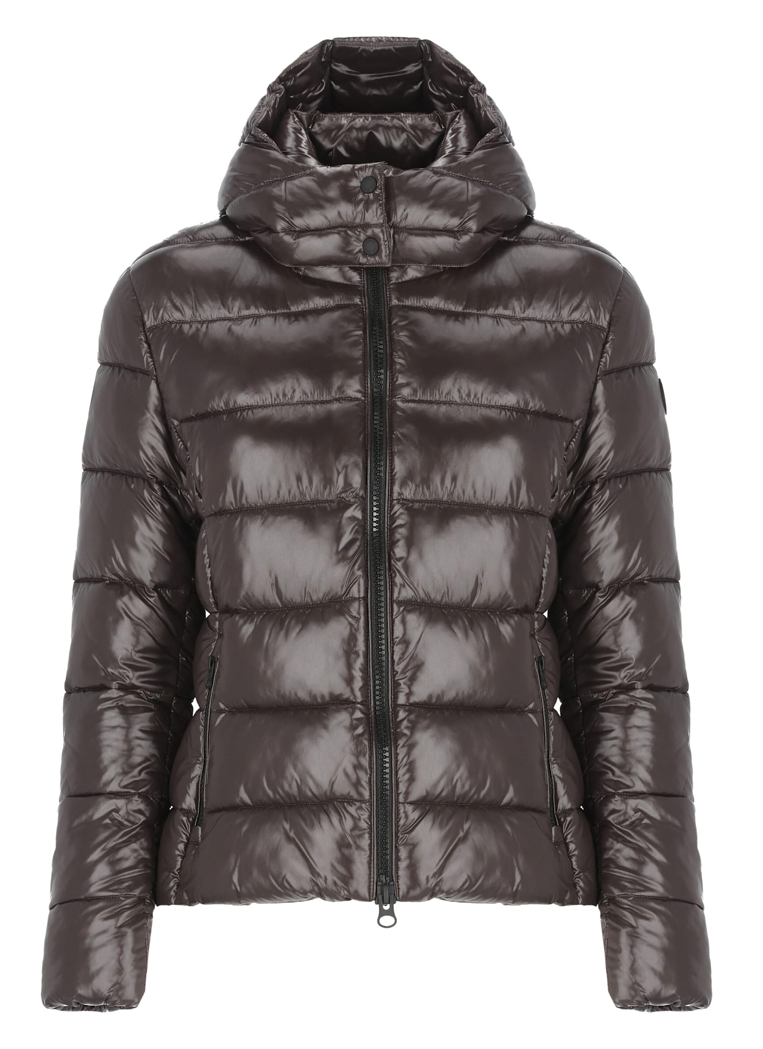 Shop Save The Duck Cosmary Padded Short Jacket In Brown