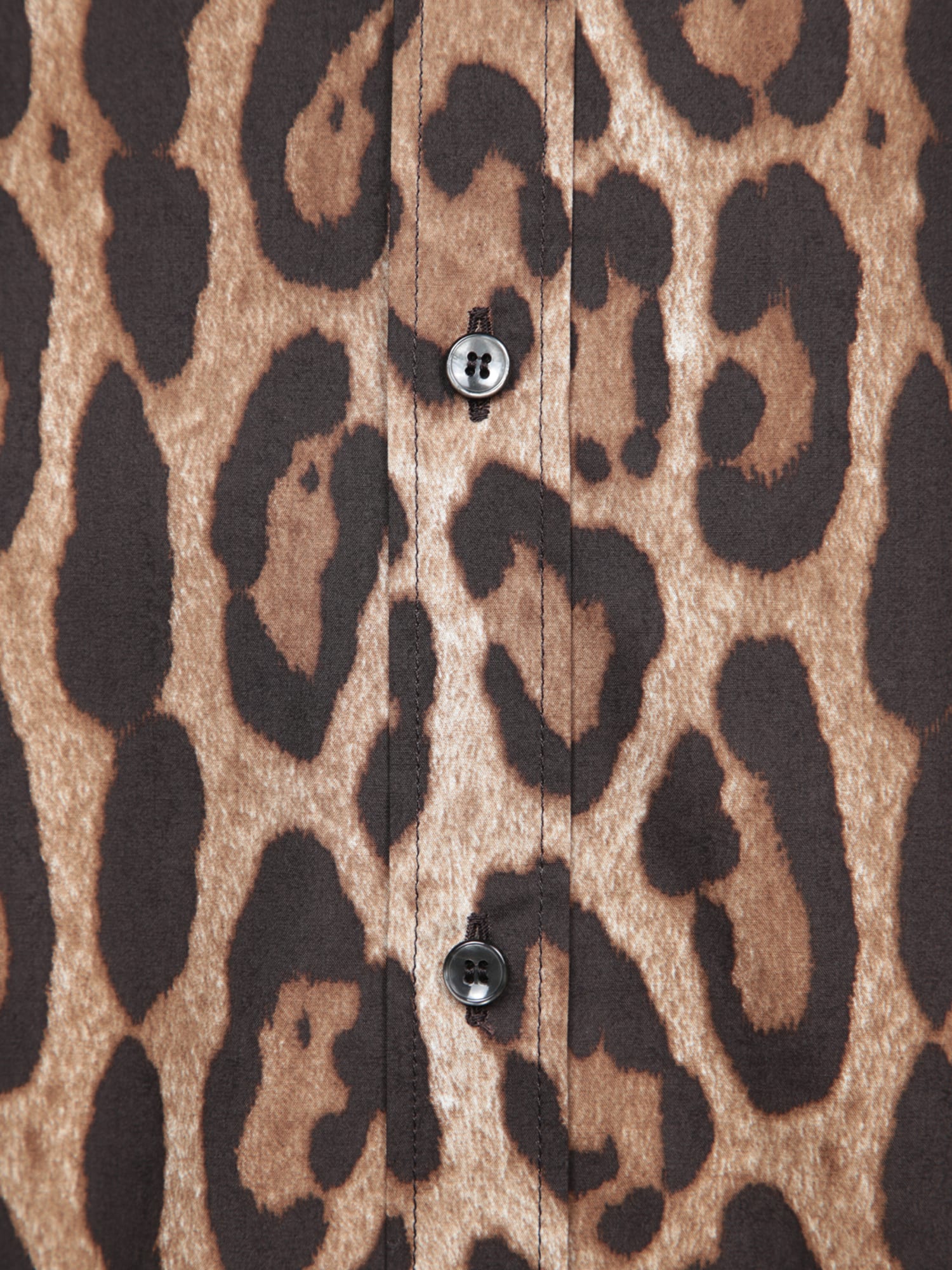 Dolce & Gabbana Leopard Print Silk Shirt In Multi