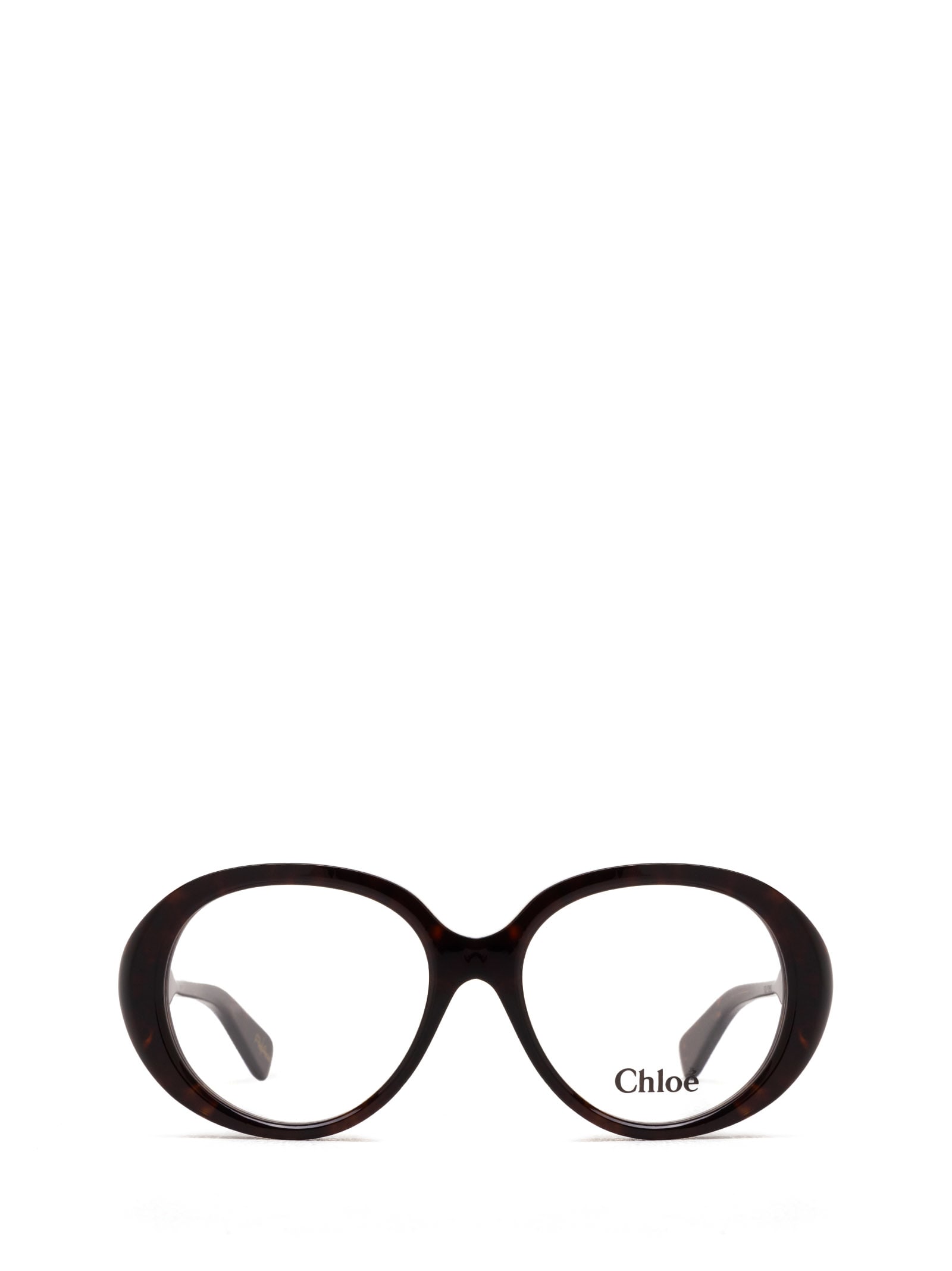 Shop Chloé Ch0221o Havana Glasses