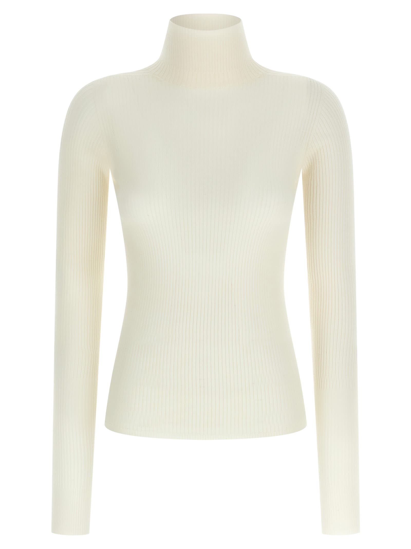 Sportmax Wool Ribbed Turtleneck Sweater In Multi