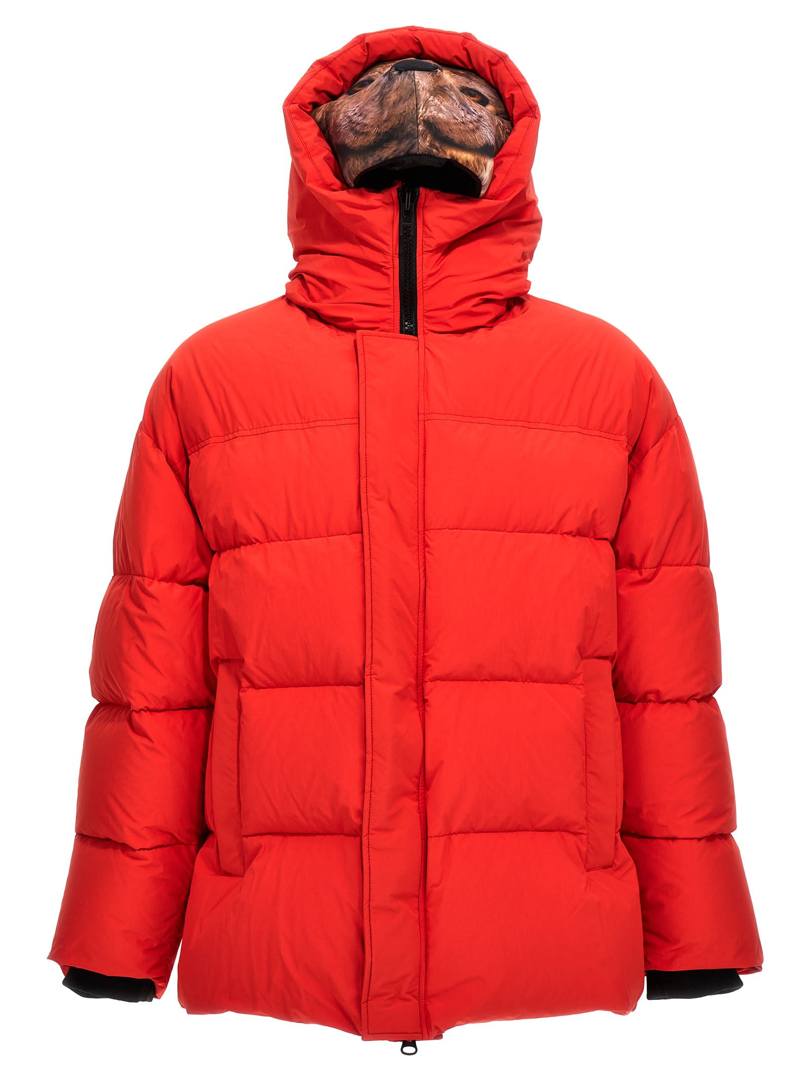 Shop Doublet Animal Trim Down Jacket In Red