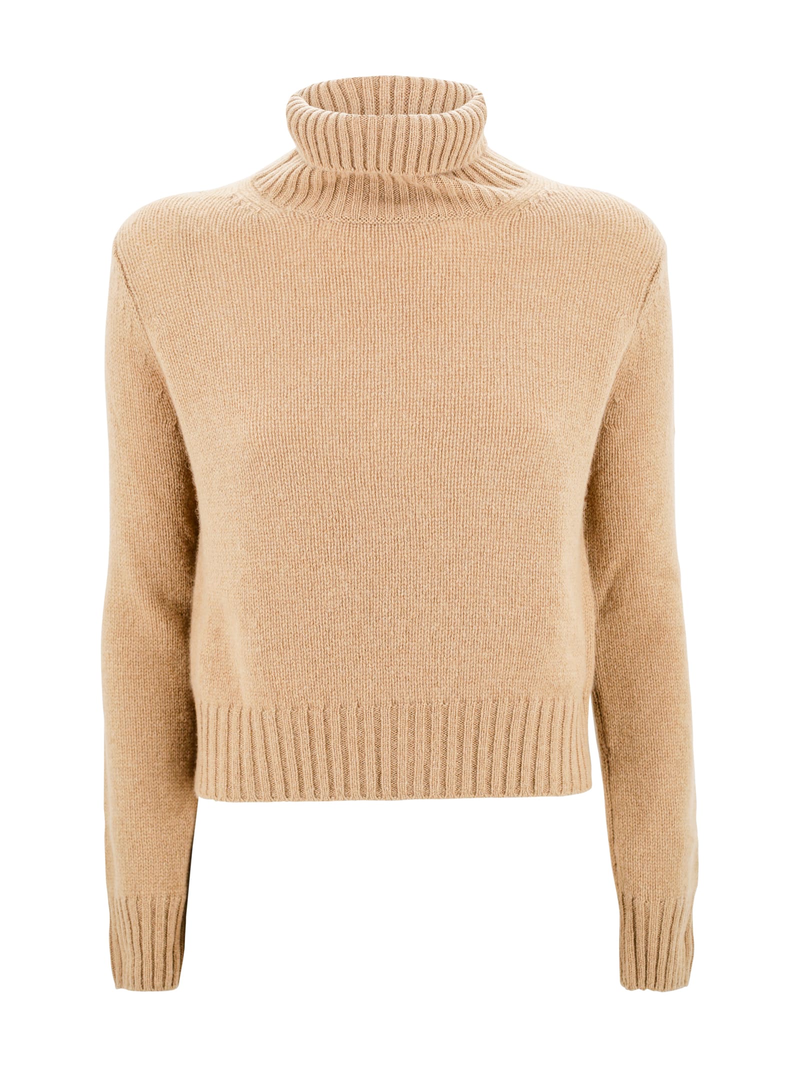 Sweatshirt With Ribbed Turtleneck