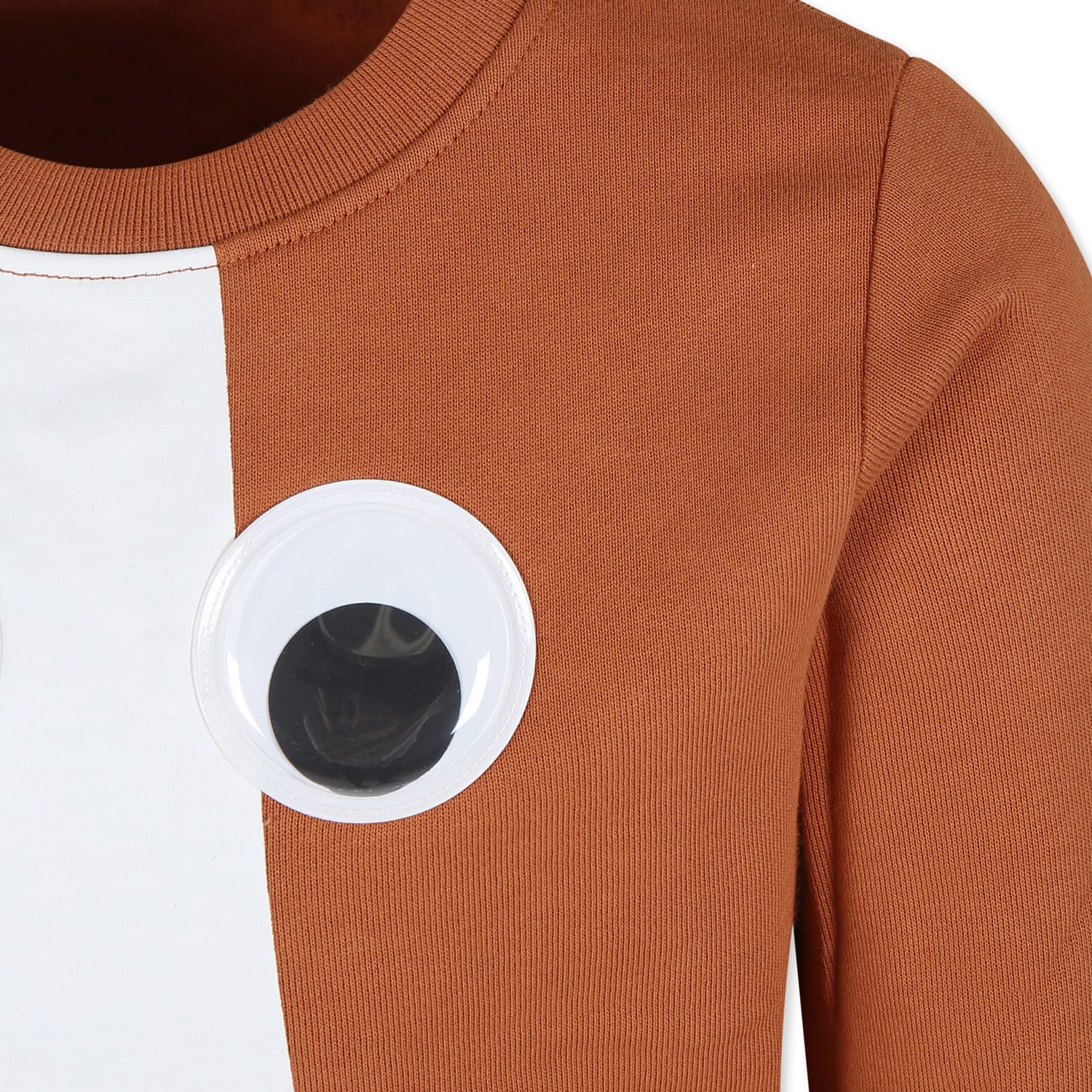 Stella Mccartney Brown Sweatshirt For Boy With Horse Print In Brown