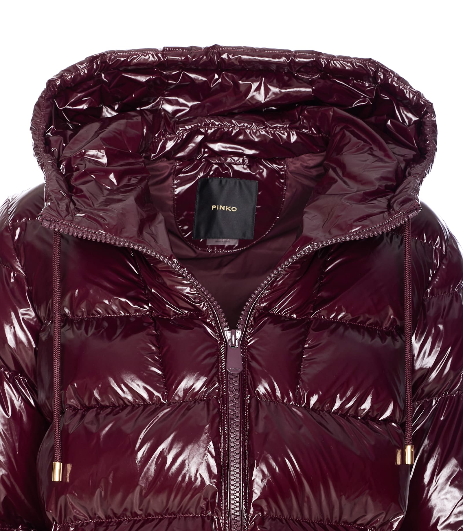 Pinko Eleodoro Down Jacket In Burgundy