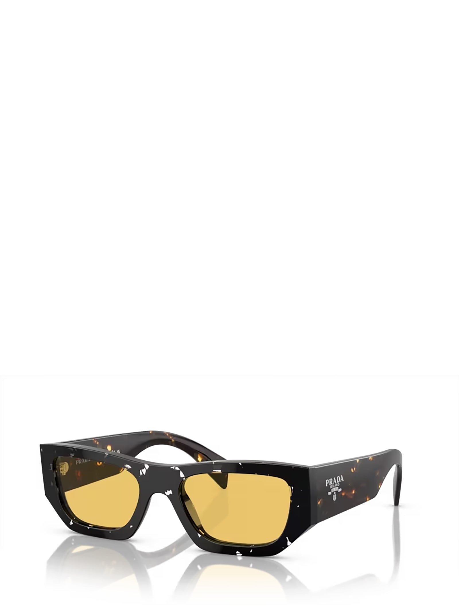 Shop Prada Pr A01s Havana Black Transparent Sunglasses