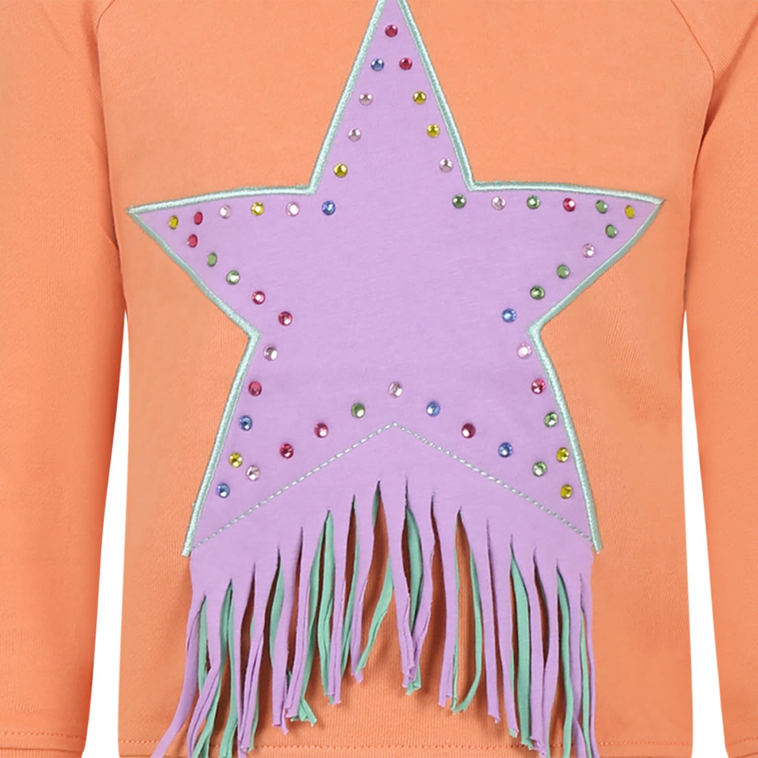 Shop Stella Mccartney Orange Sweatshirt For Girl With Star