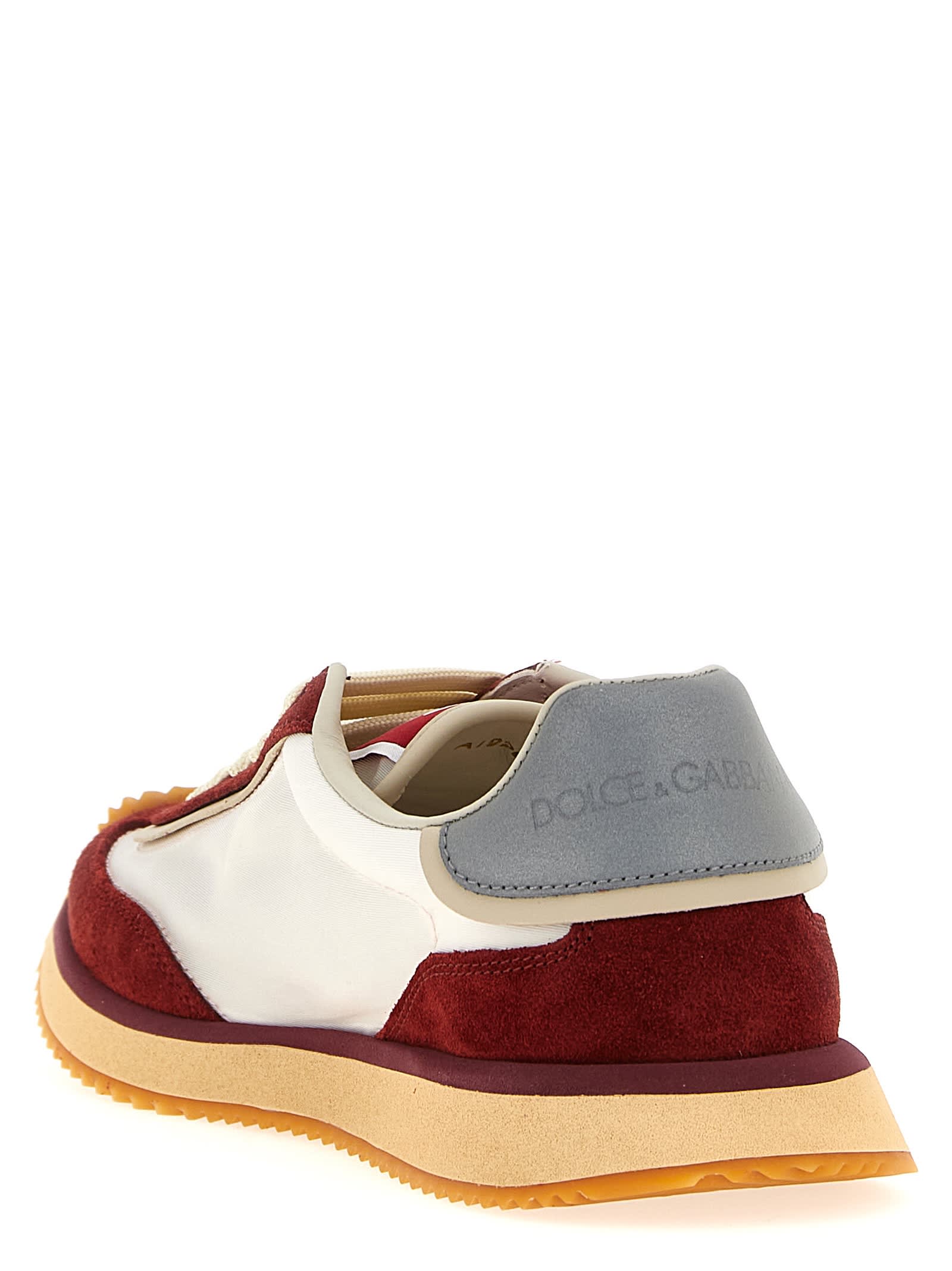 Dolce & Gabbana Sneaker Bassa Dragon+crosta+vi Bianco/bianco Sneakers Bordeaux In Multi