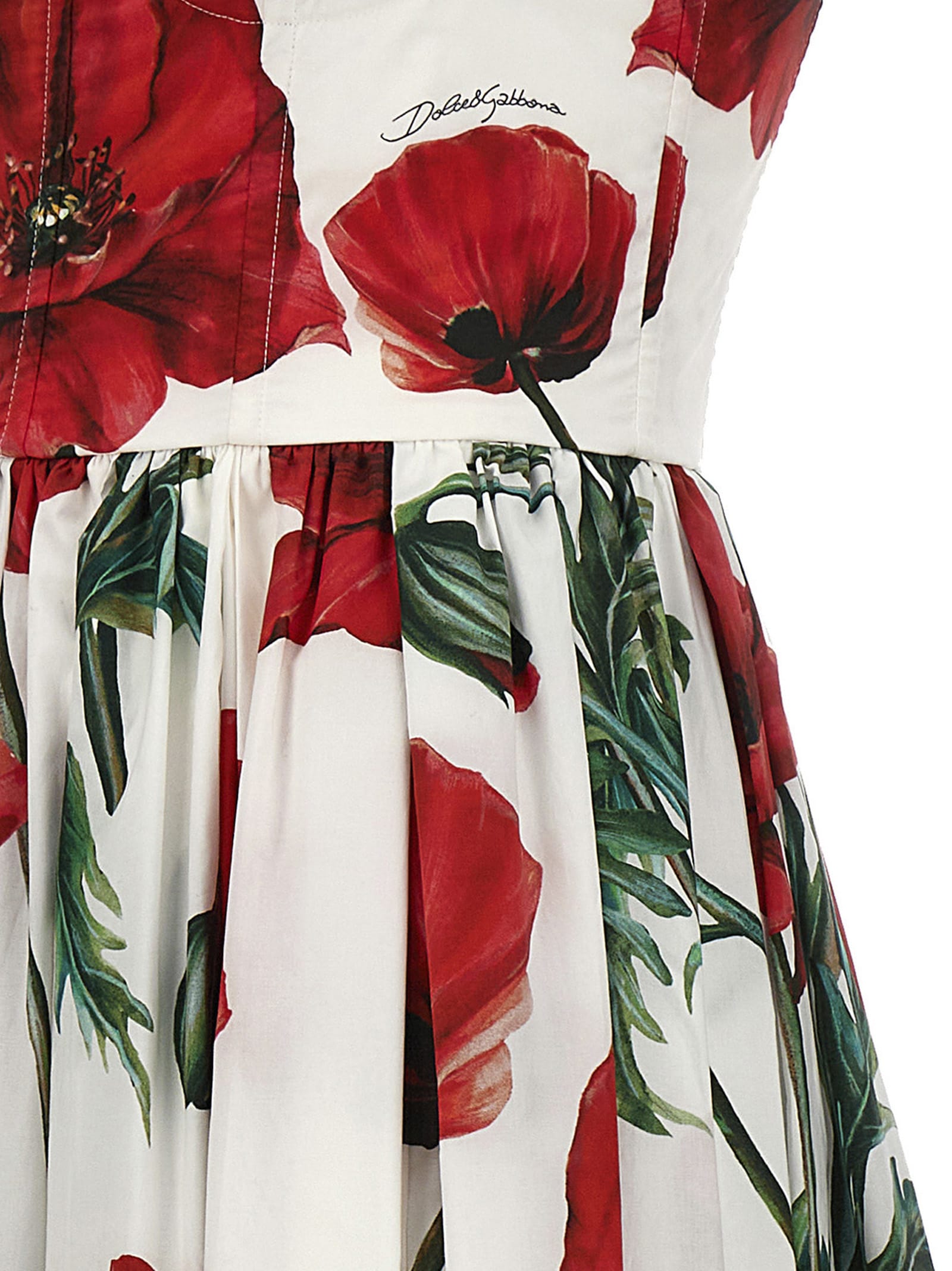 Dolce & Gabbana Poppy Print Poplin Dress