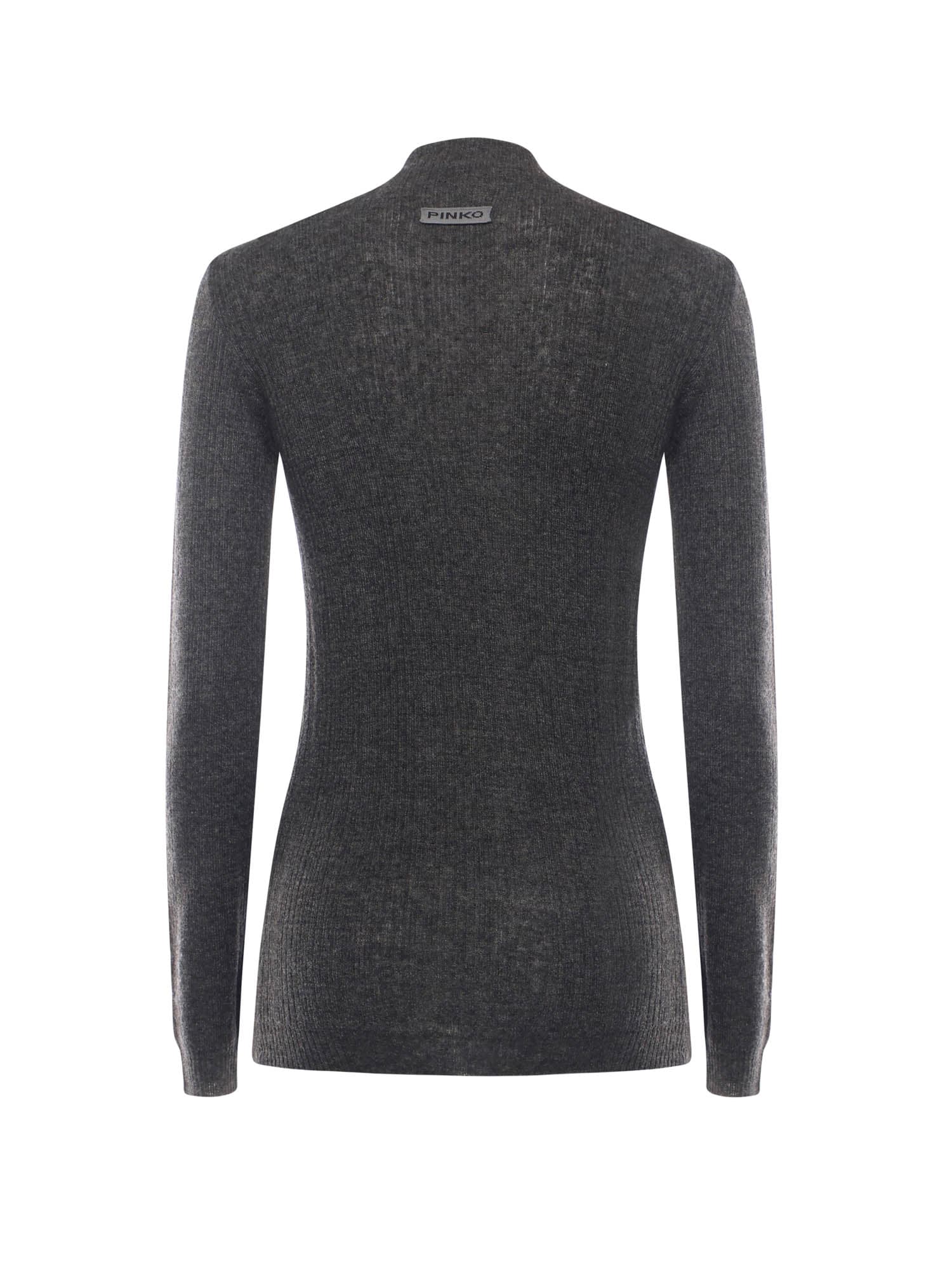 Pinko Turtleneck In Black