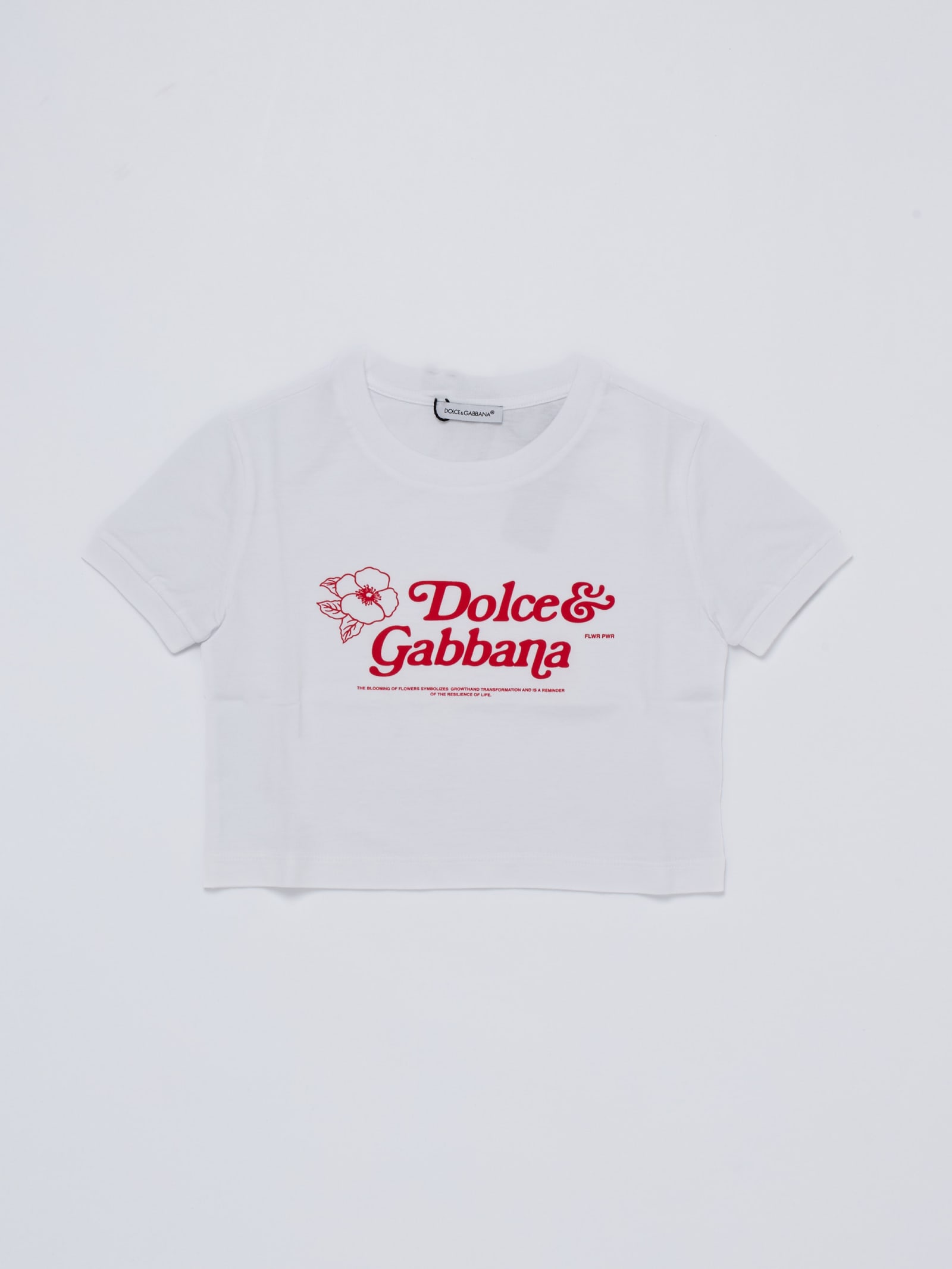 Shop Dolce & Gabbana T-shirt T-shirt In Bianco