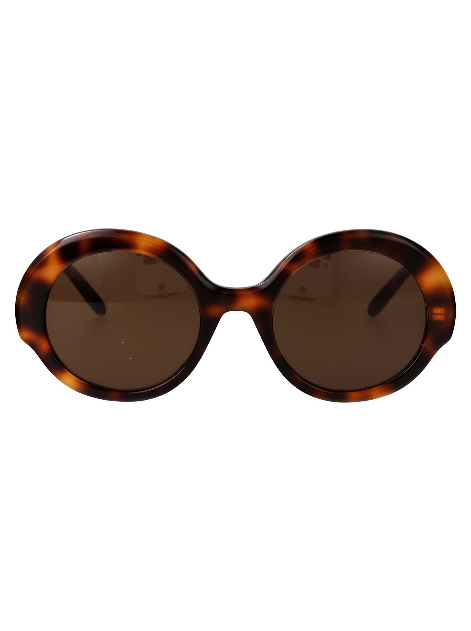 Shop Loewe Lw40135i Sunglasses In Havana