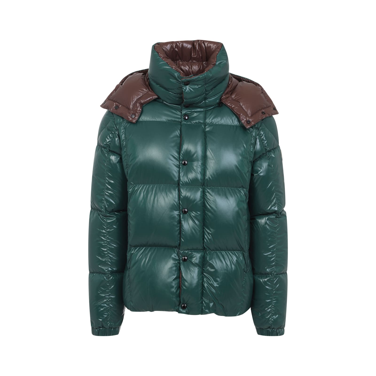 Moncler Parana Glossy Hooded Short Down Jacket Clothing In Multi