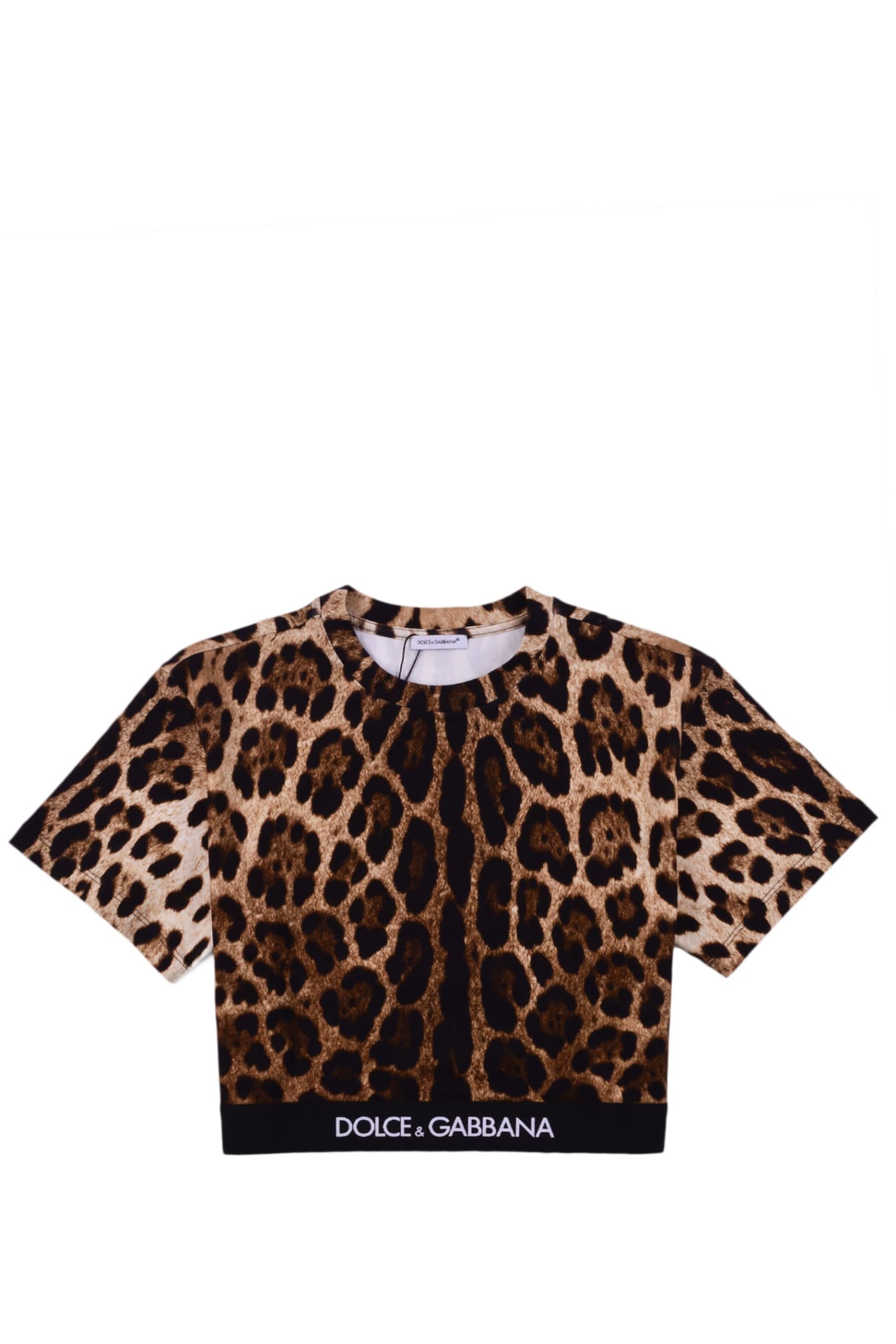 DOLCE & GABBANA CROPPED T-SHIRT WITH LEOPARD PRINT