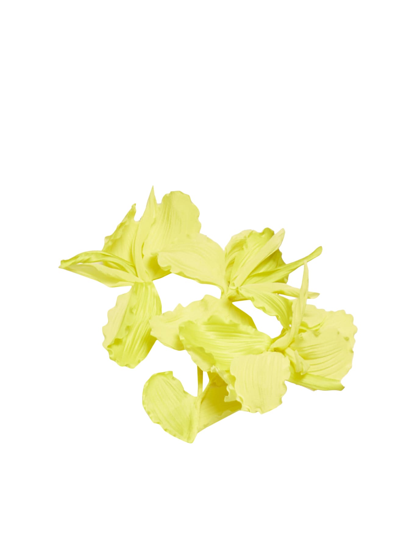 Shop Sucrette Rami Iris In Seta In Yellow