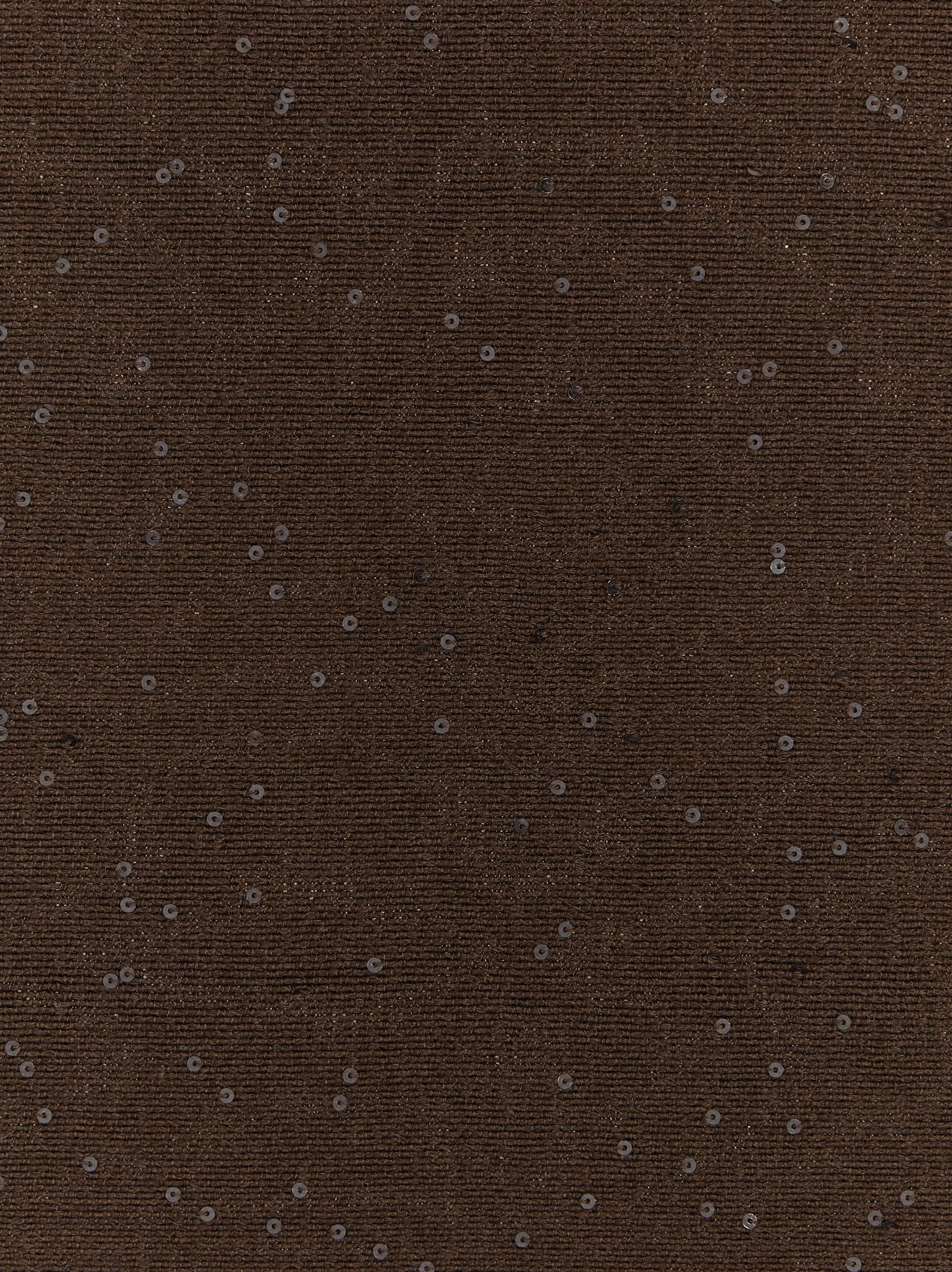 Brunello Cucinelli Micro Sequin Scarf Scarves And Foulards In Brown