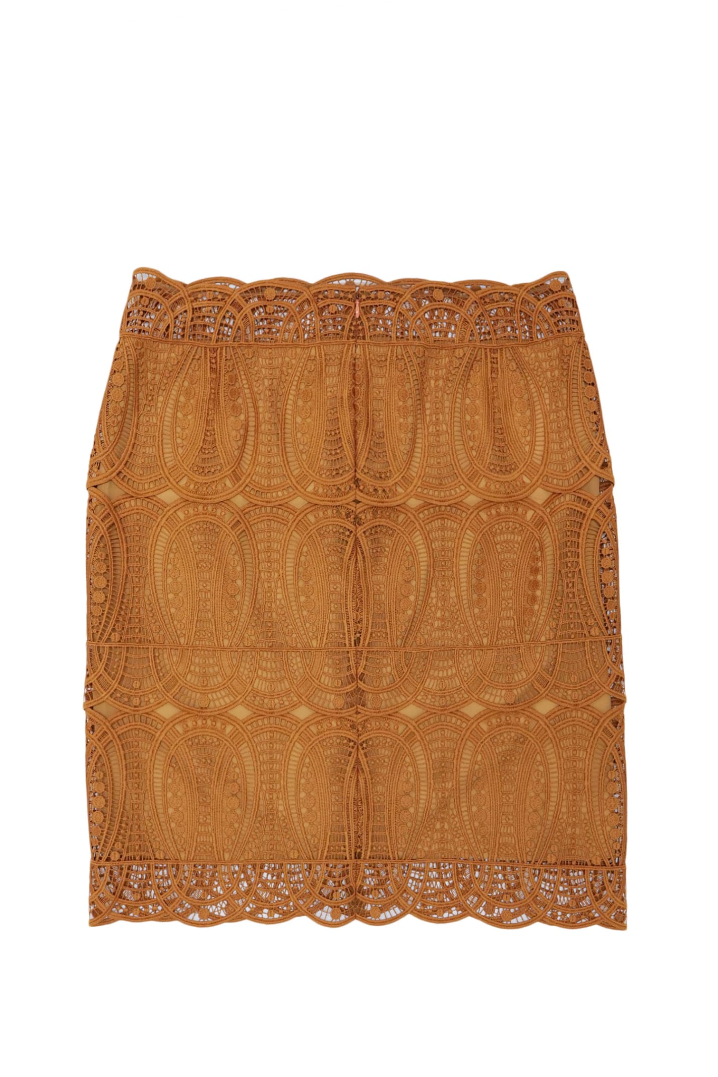 Shop Alberta Ferretti Skirt In Brown