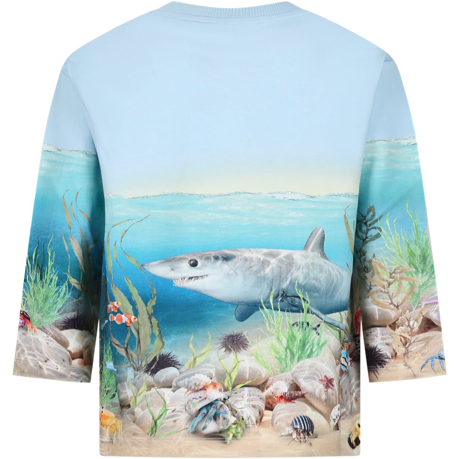 Molo Light Blue Sweatshirt For Boy With Shark Print In Light Blue