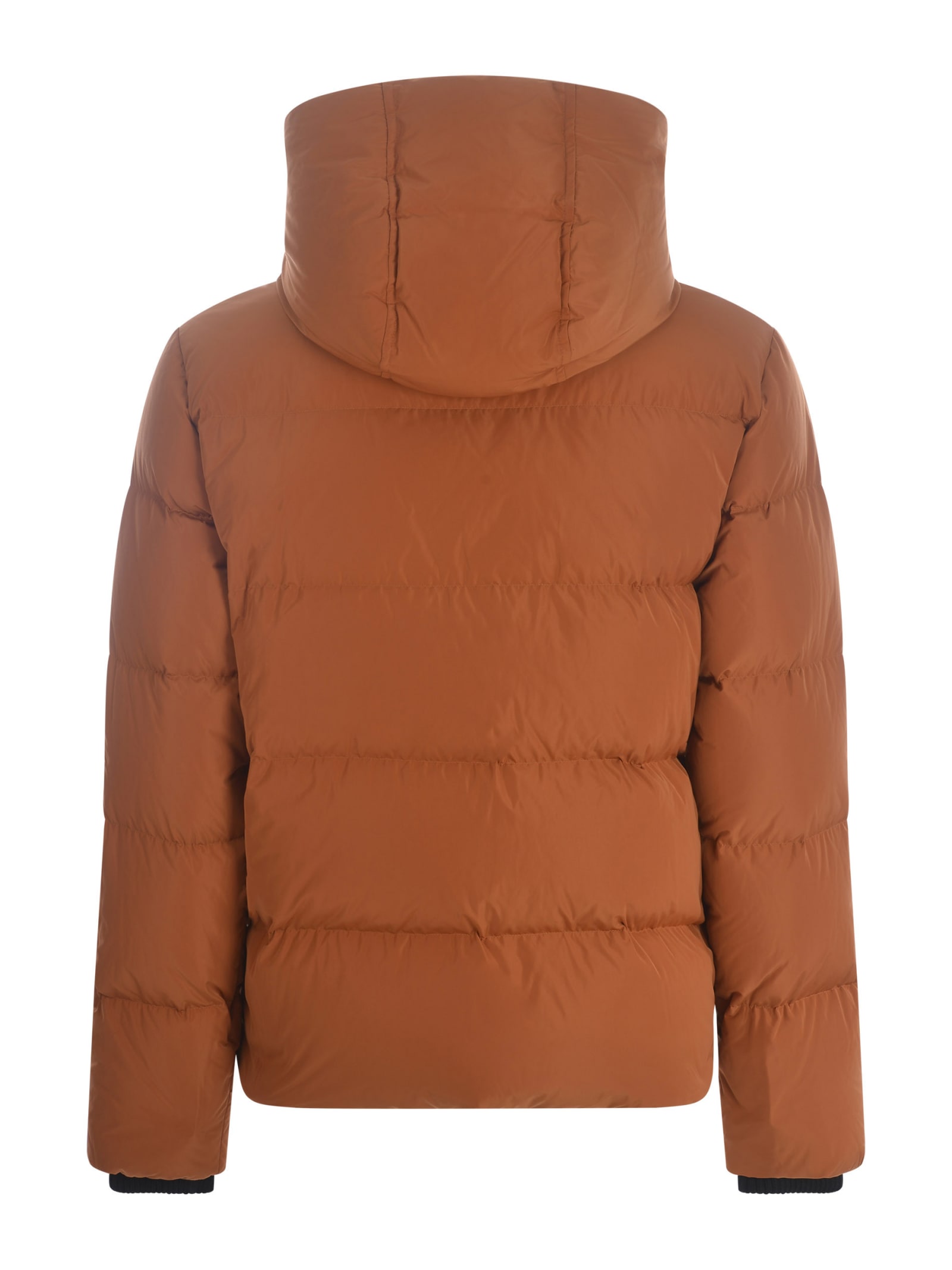 Shop Dsquared2 Down Jacket  In Nylon In Argilla