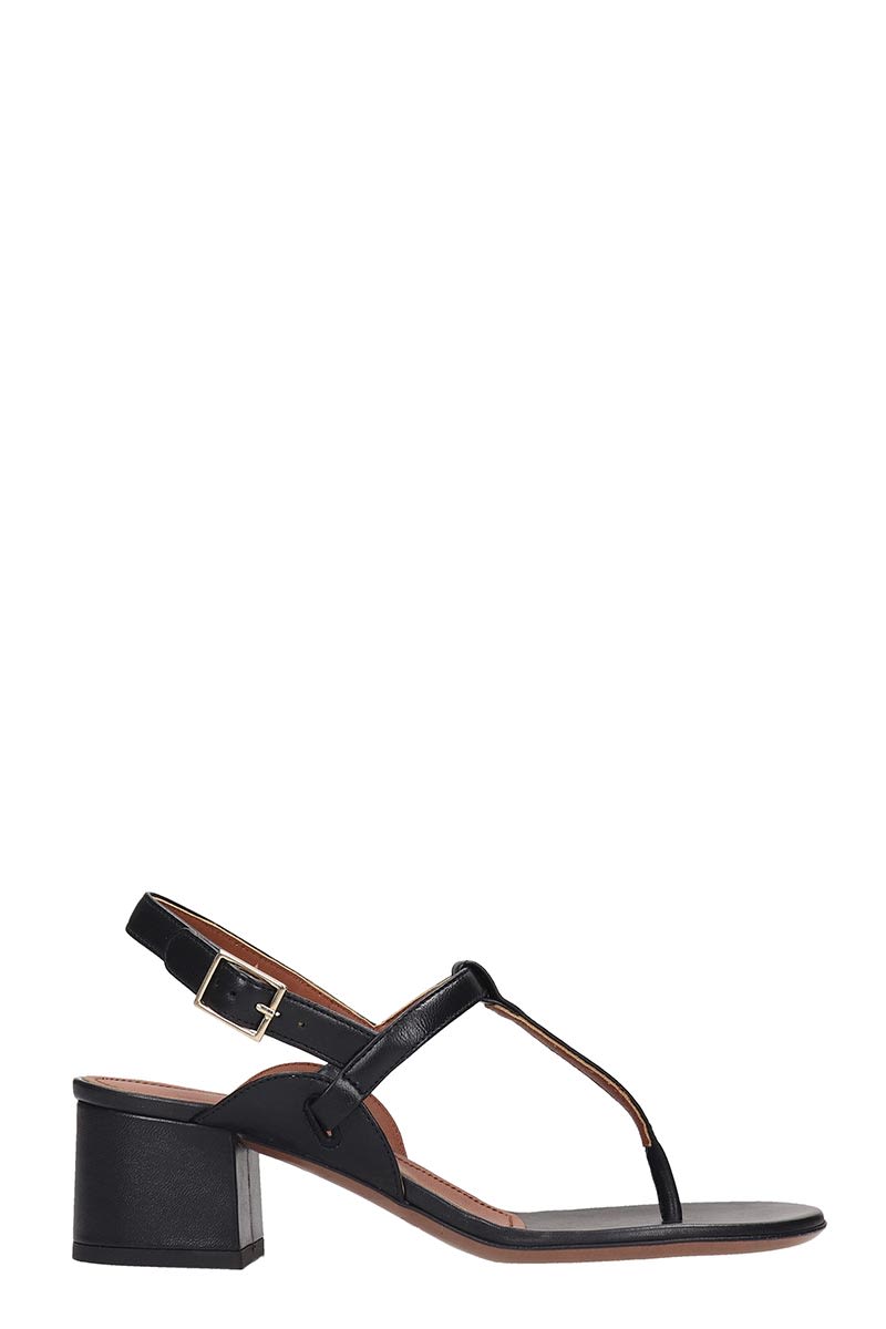 L'AUTRE CHOSE SANDALS IN BLACK LEATHER,11239255