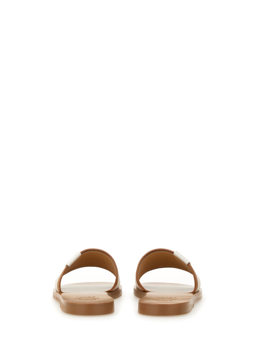 Shop Bally Slide Sandal Sollie In Beige