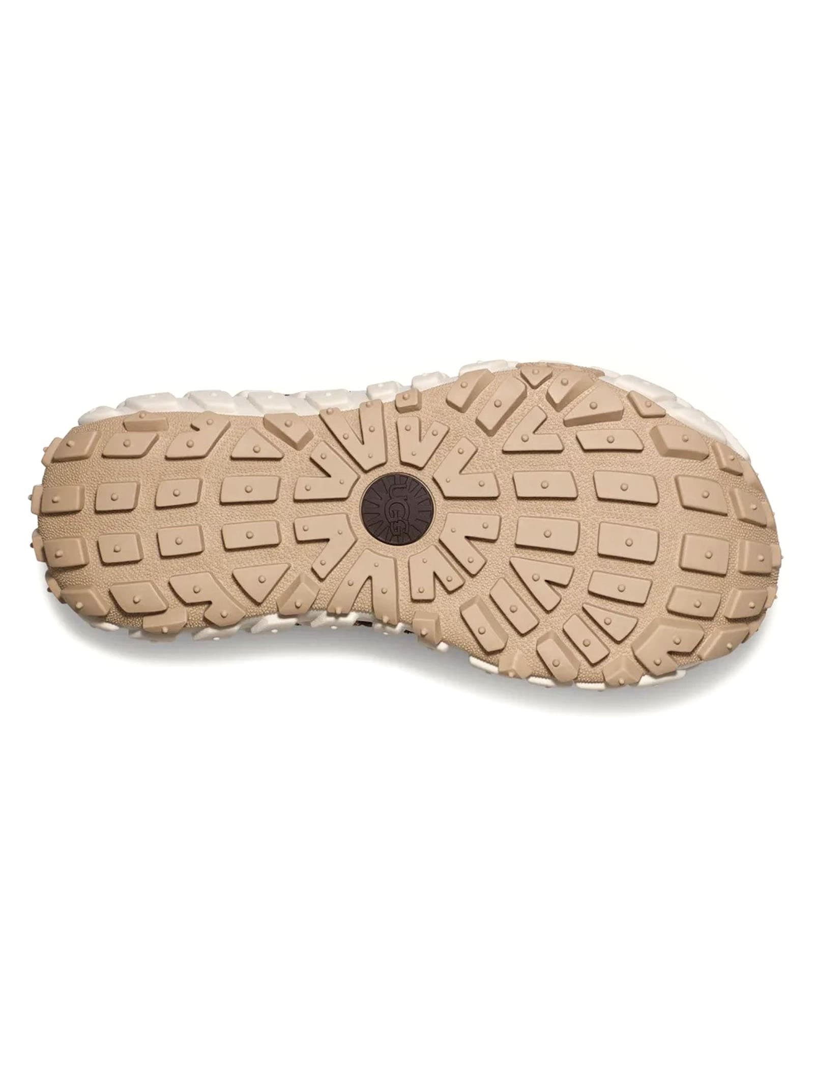 Shop Ugg Sneakers Camel