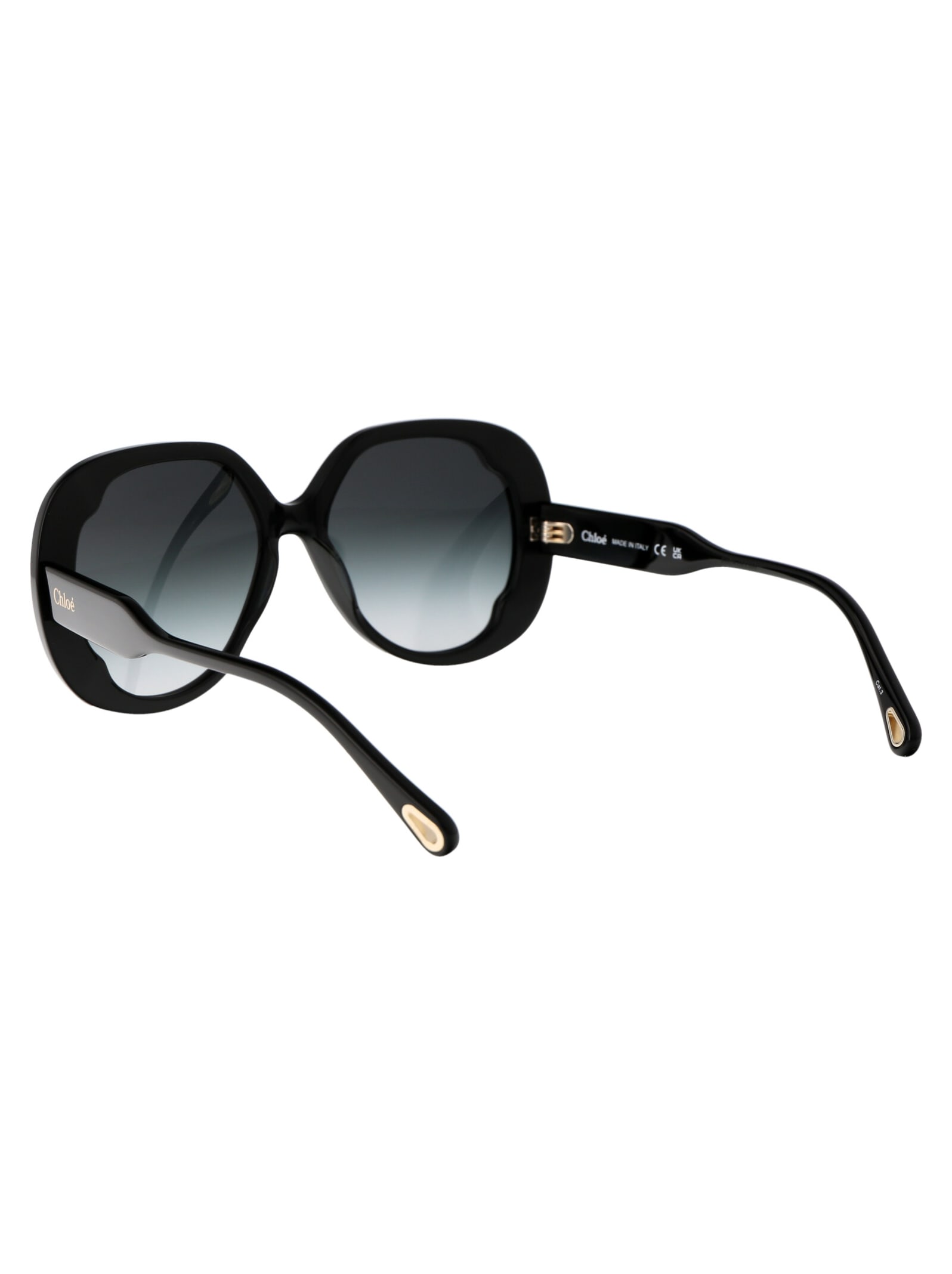 Chloé Chloe Sunglasses Ch0195 S 001 In 001 Black Black Grey