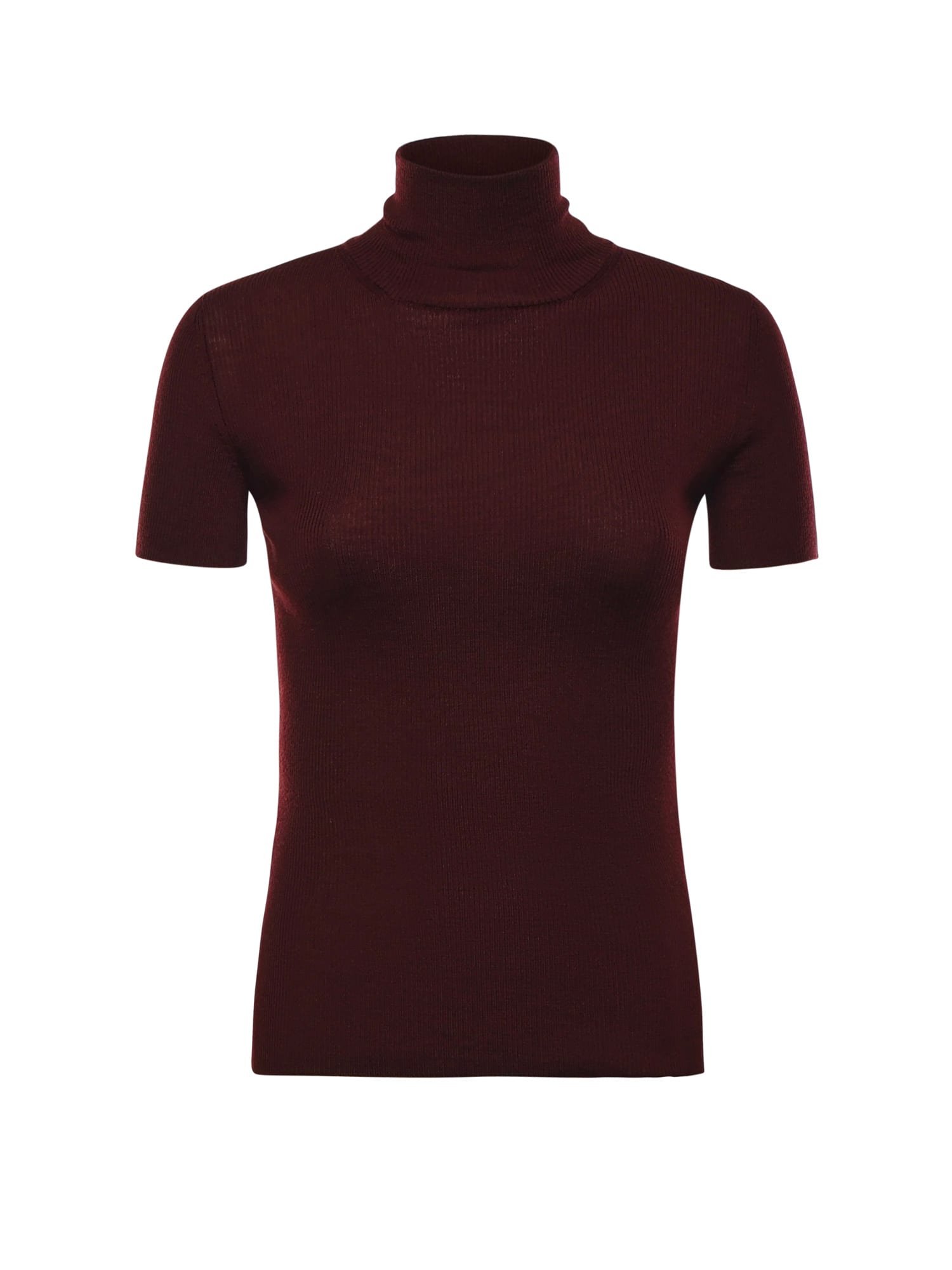 Max Mara Wool Turtleneck In Burgundy