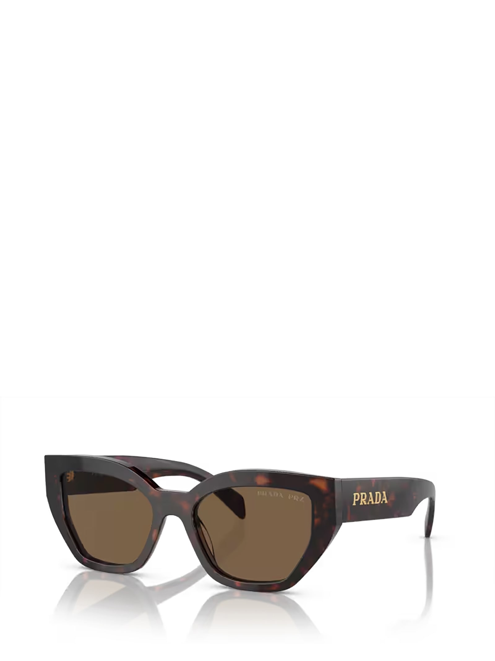 Shop Prada Pr A09s Briar Tortoise Sunglasses