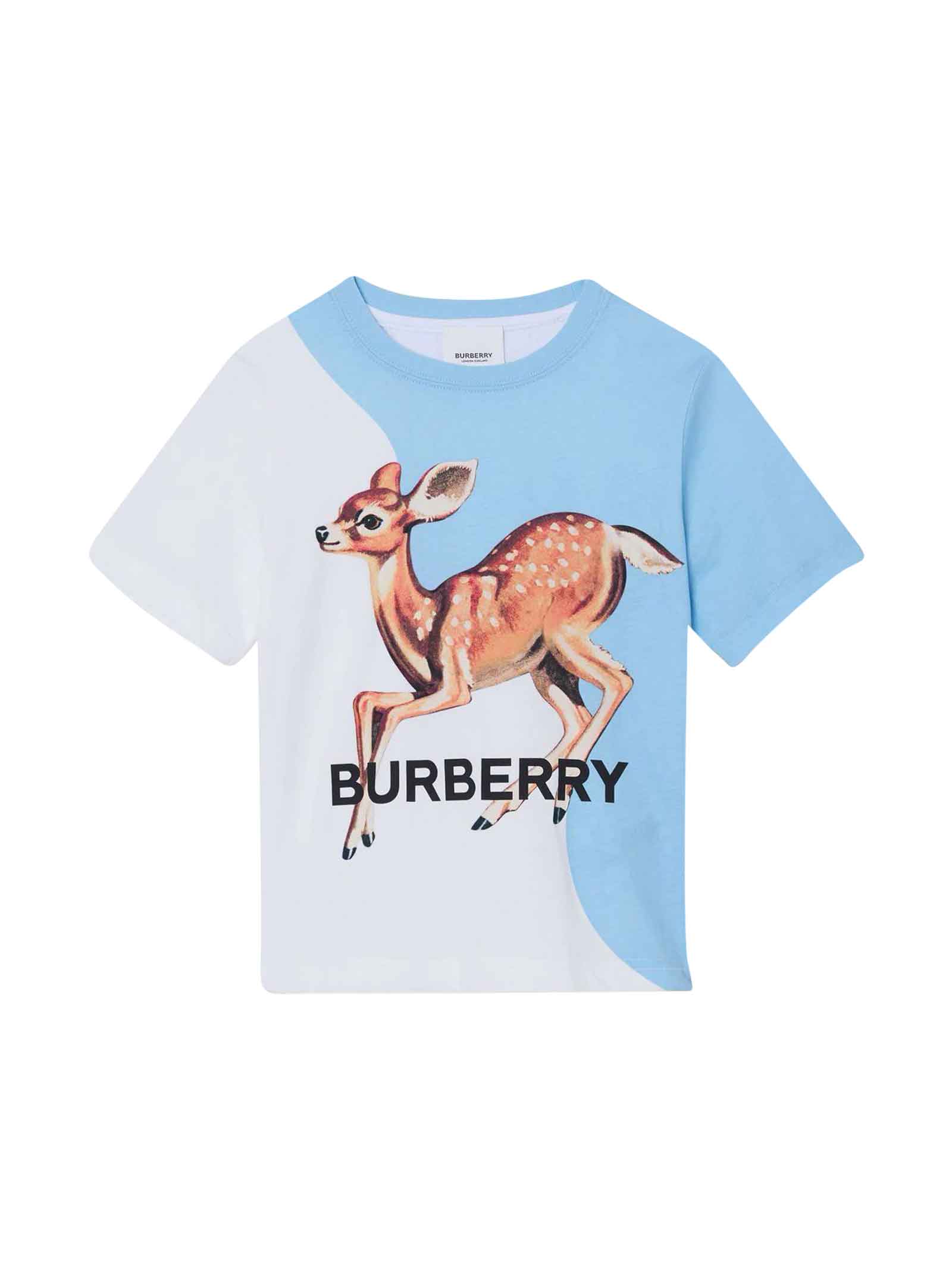 Burberry White And Blue T-shirt With Print