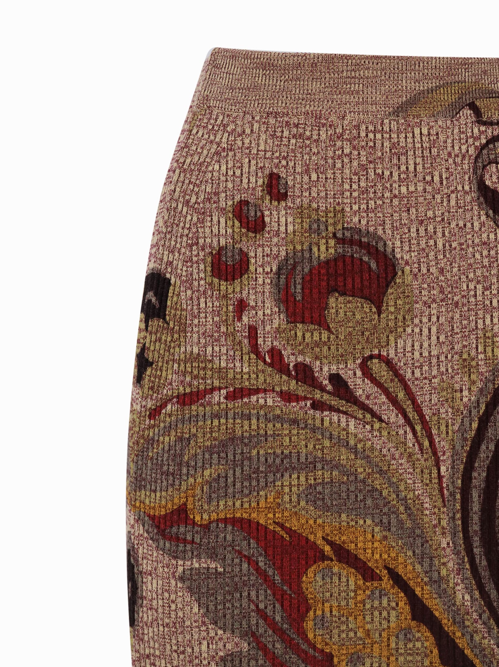 Etro Long Skirt With Multicolor Floral Pattern In Brown
