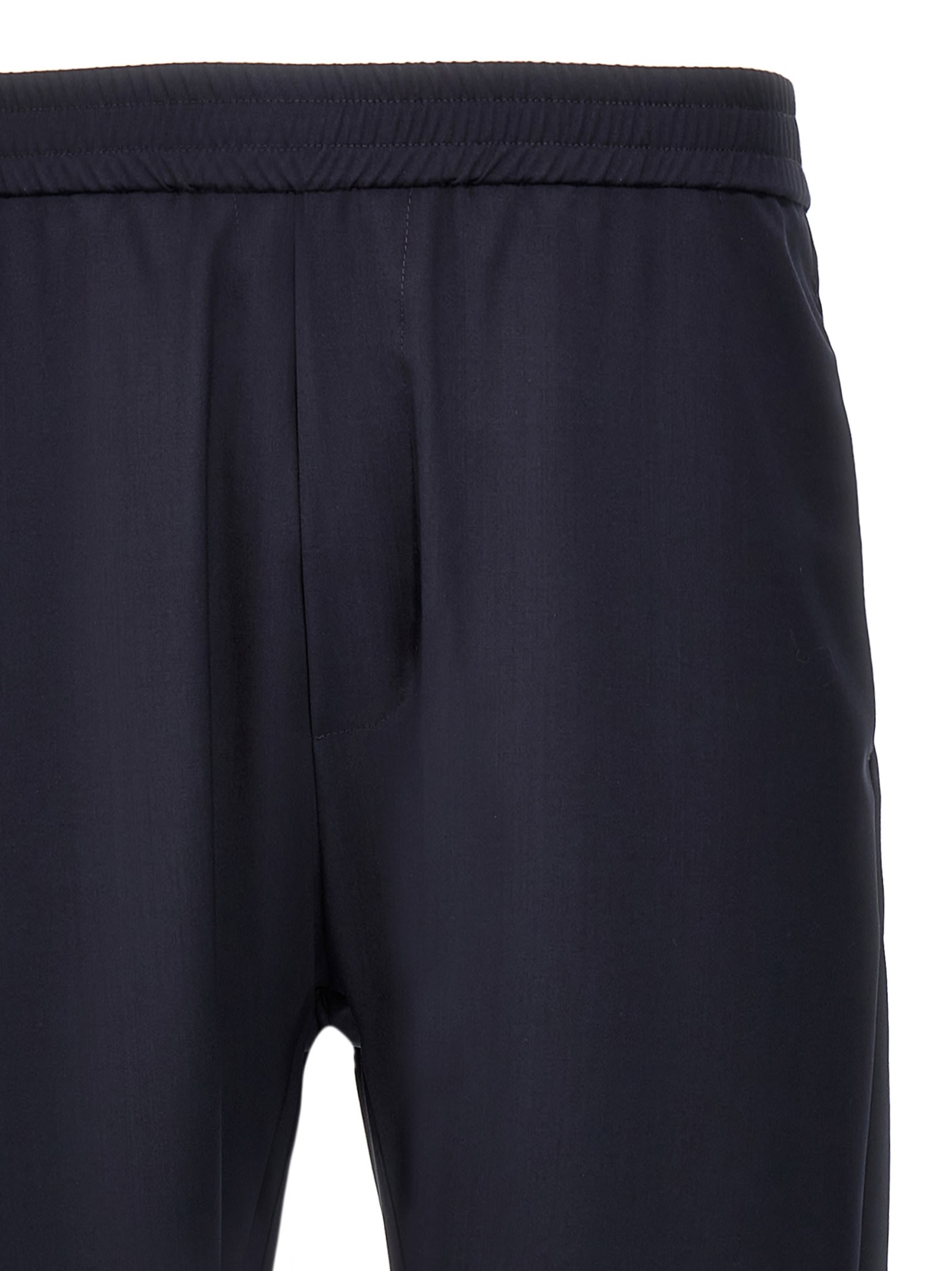Shop Barena Venezia Riobarbo Tropical Pants In Blue