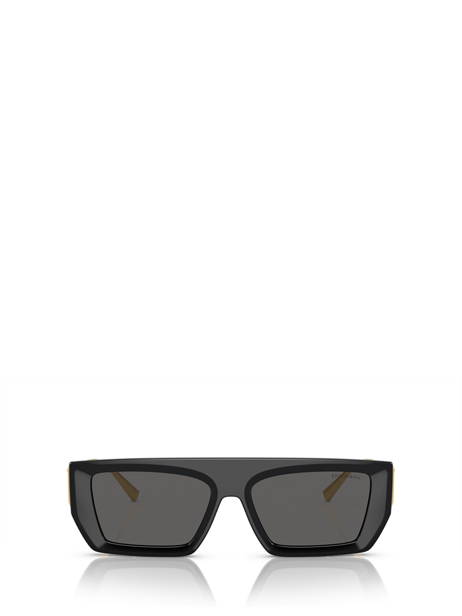 Tf4214u Black Sunglasses