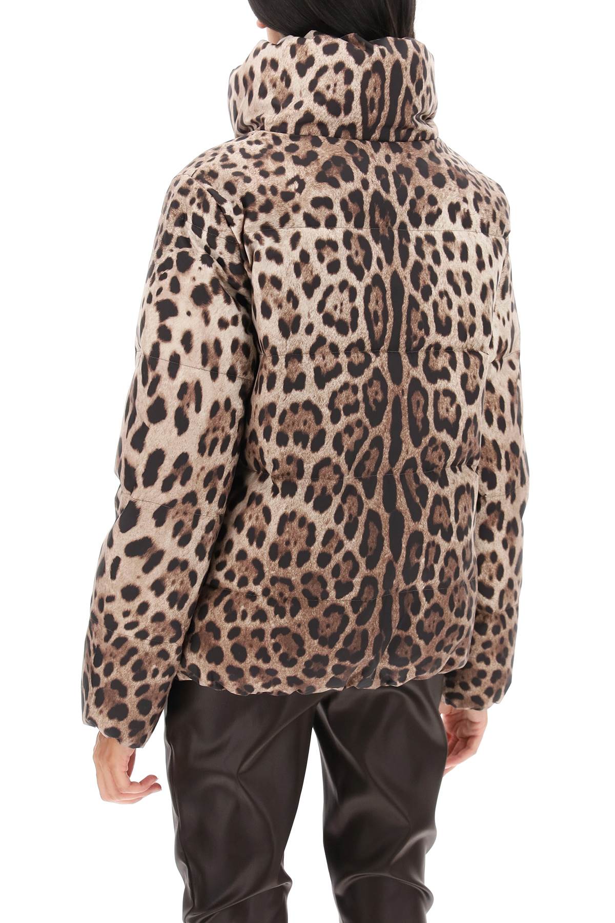 Dolce & Gabbana Leopard Print Stand Collar Puffer Jacket In Beige