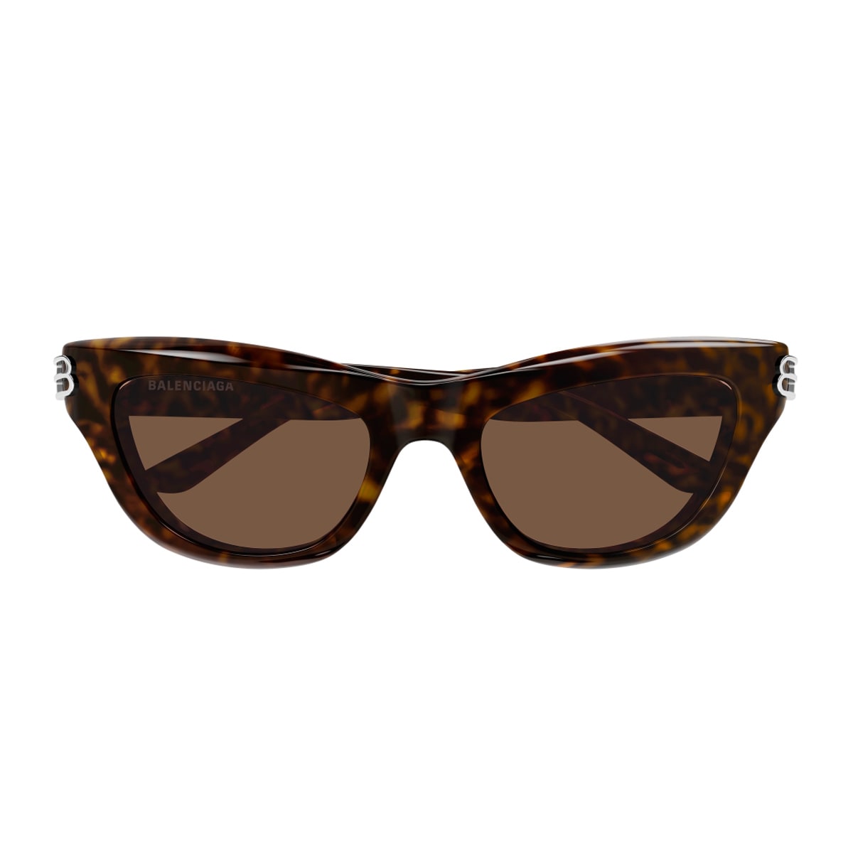 Balenciaga Bb0430s Linea Everyday 002 Havana Brown Sunglasses In Brown