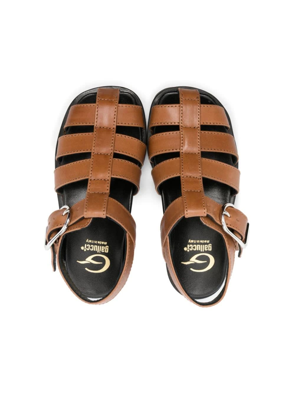 Shop Gallucci Sandals With Buckle In Brown