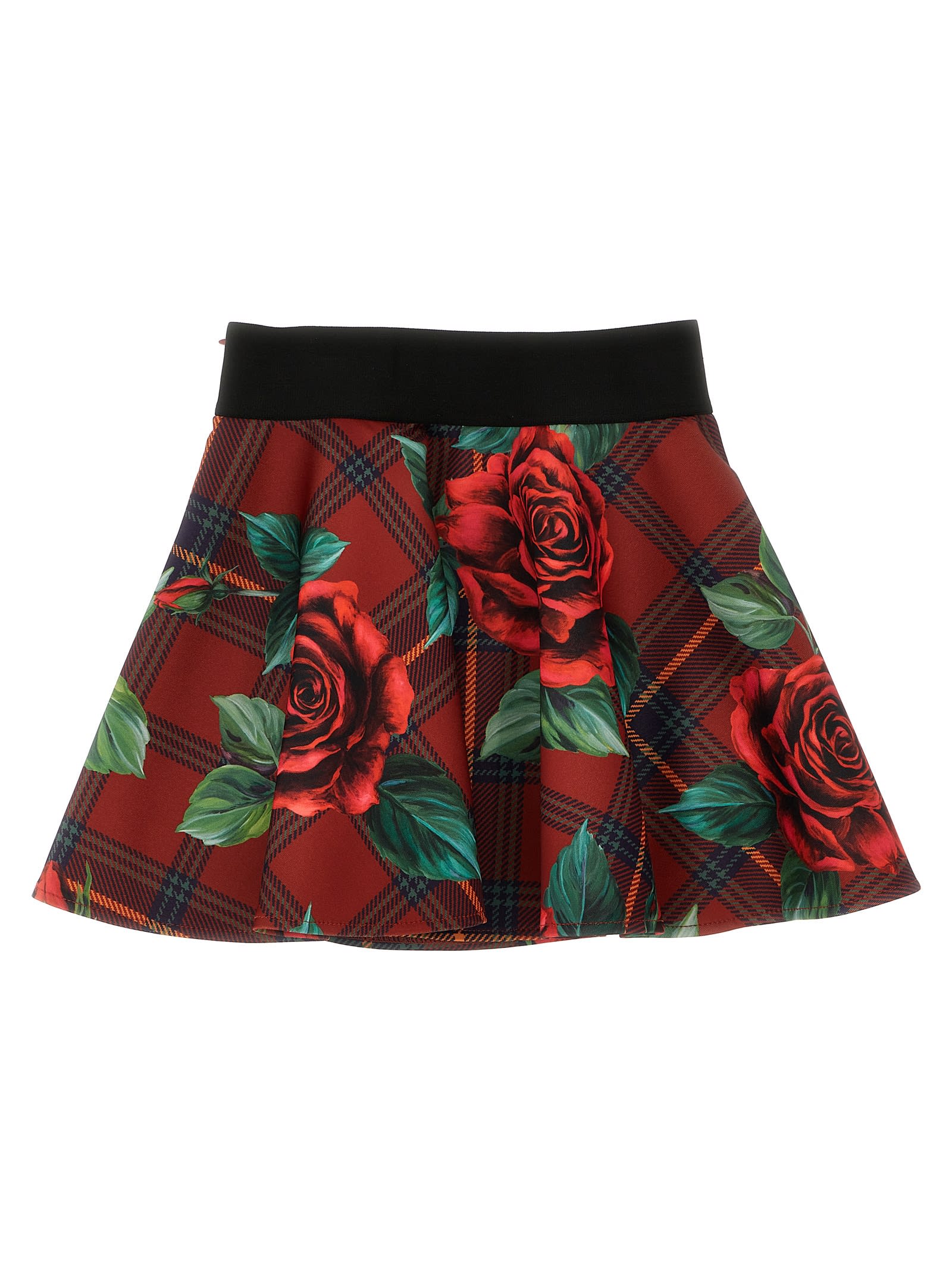 Shop Dolce & Gabbana Back To School Skirt In Qe