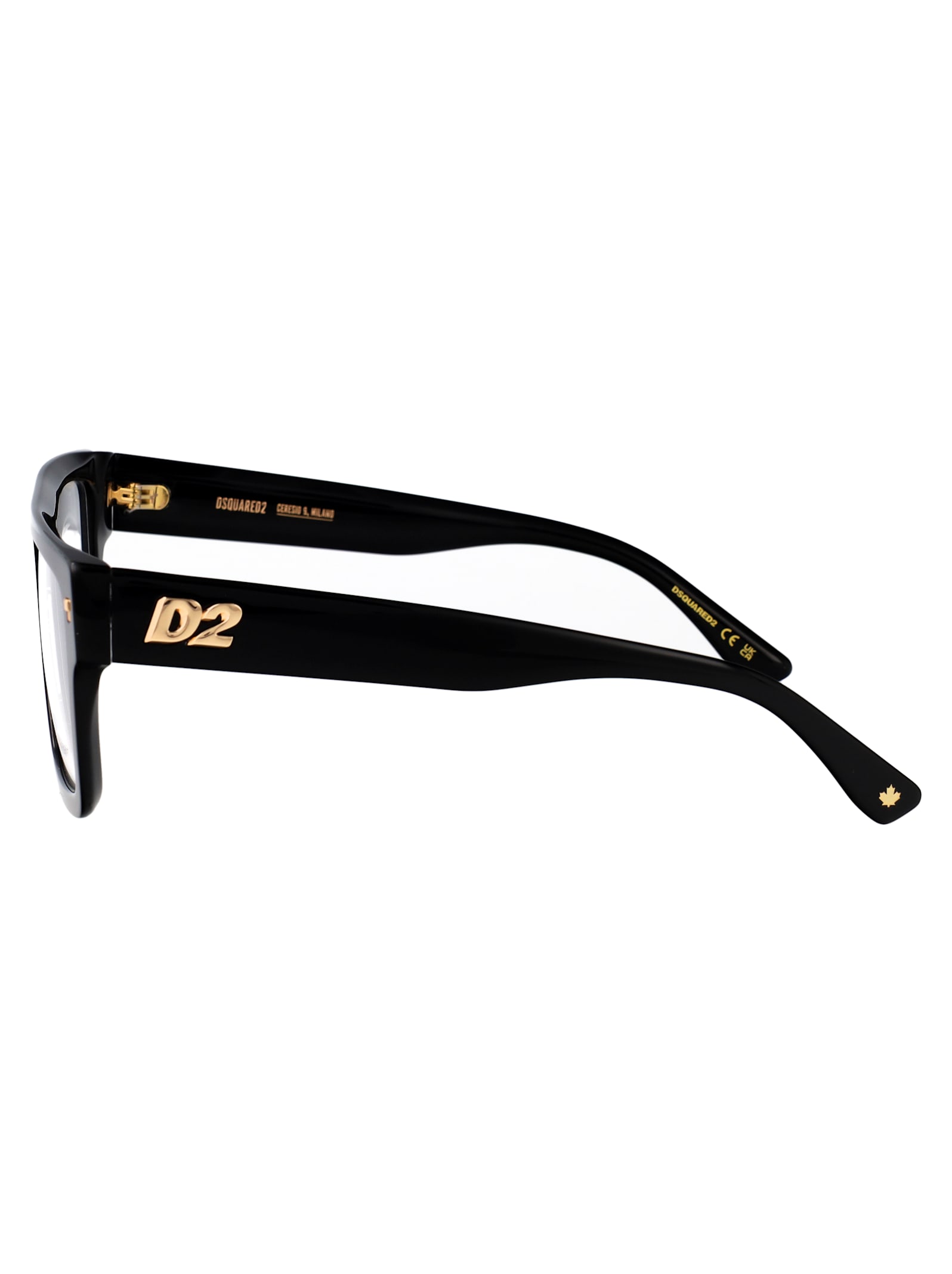 Dsquared2 D2 0147 Glasses In Black